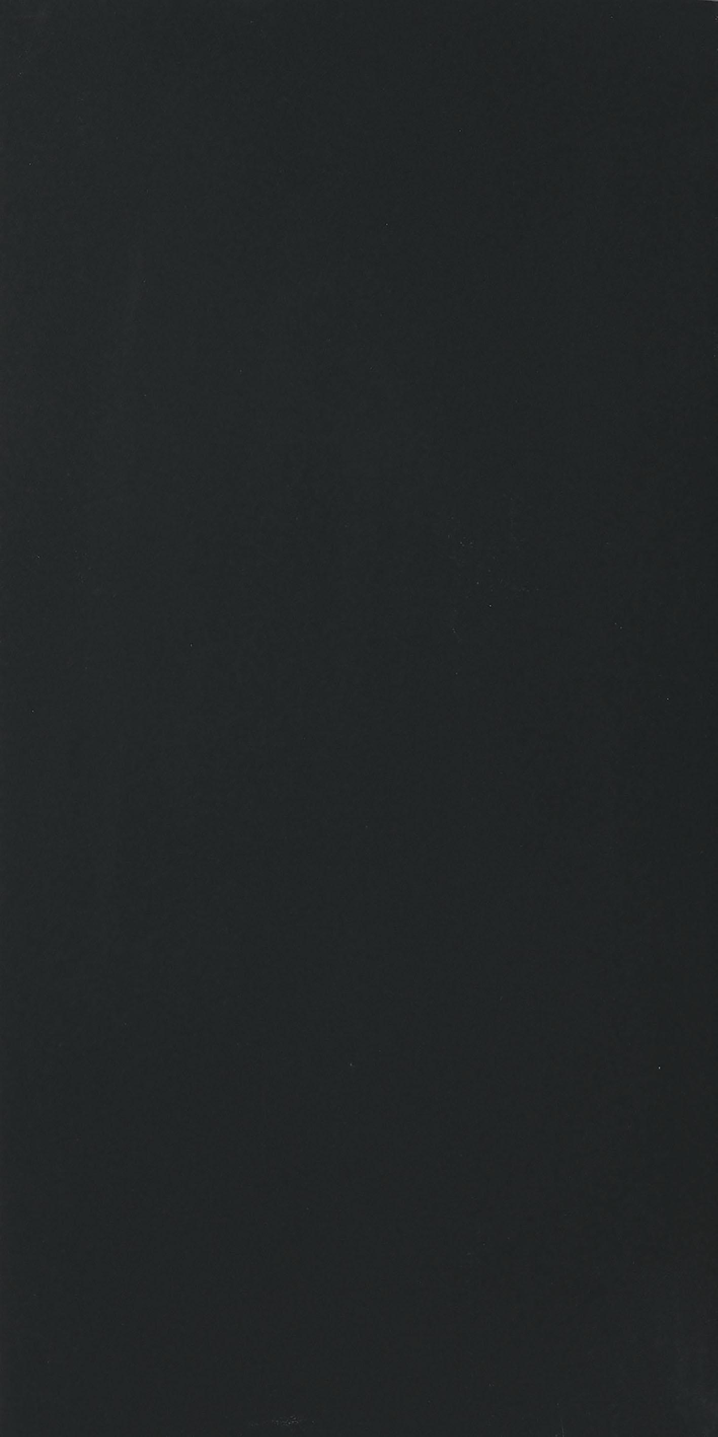 Black 120x240 глянцевая