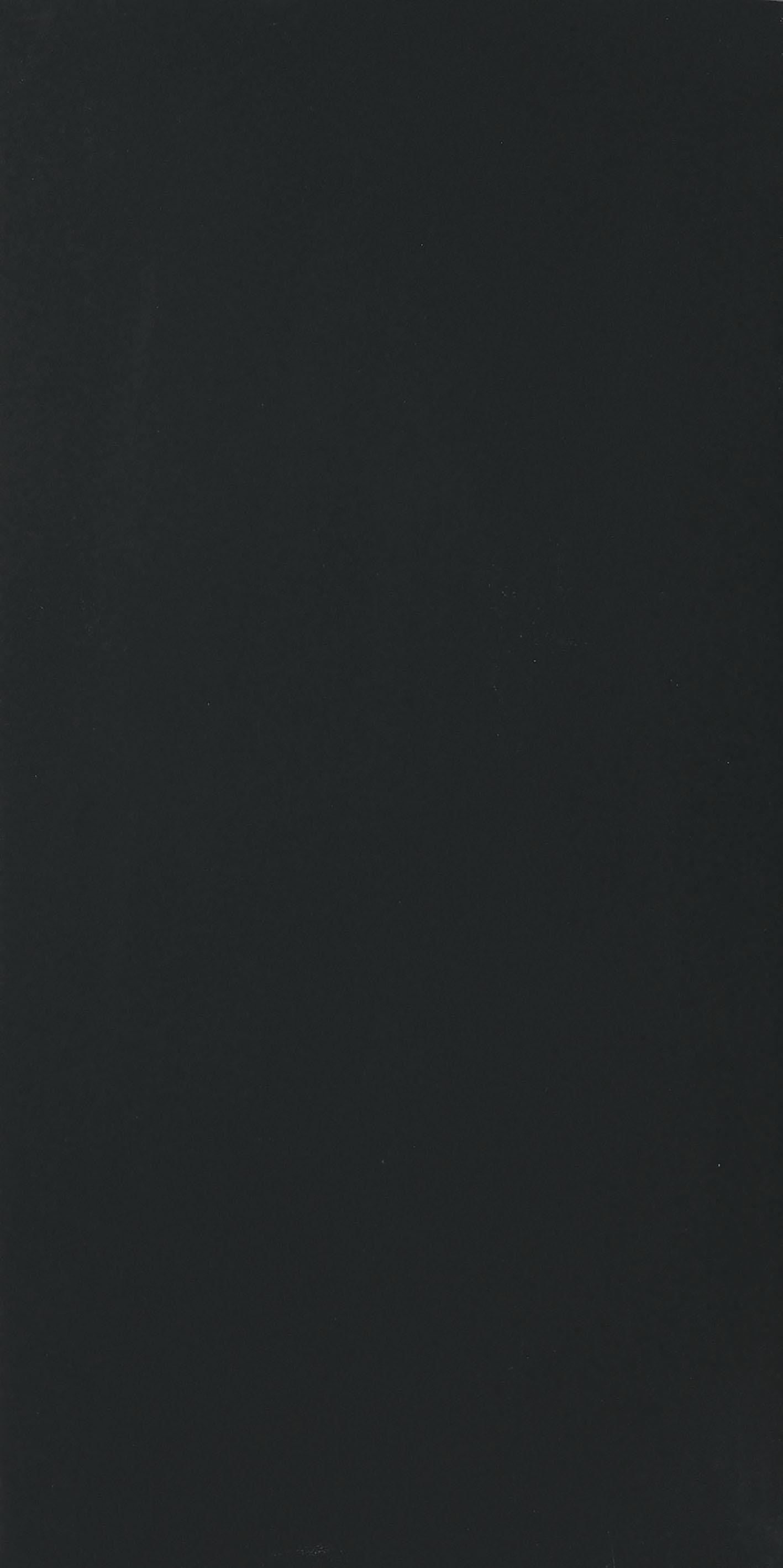 Black 120x240 матовая