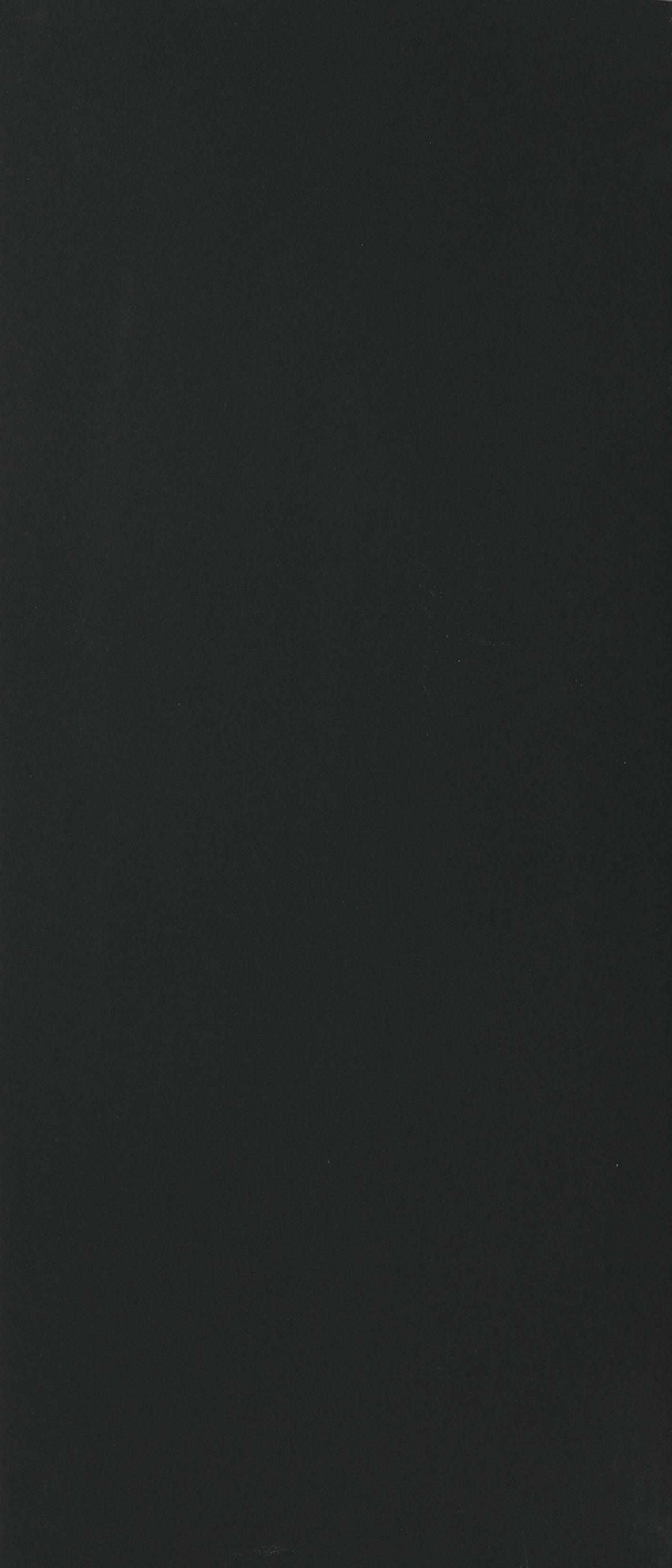 Black 120x280 матовая