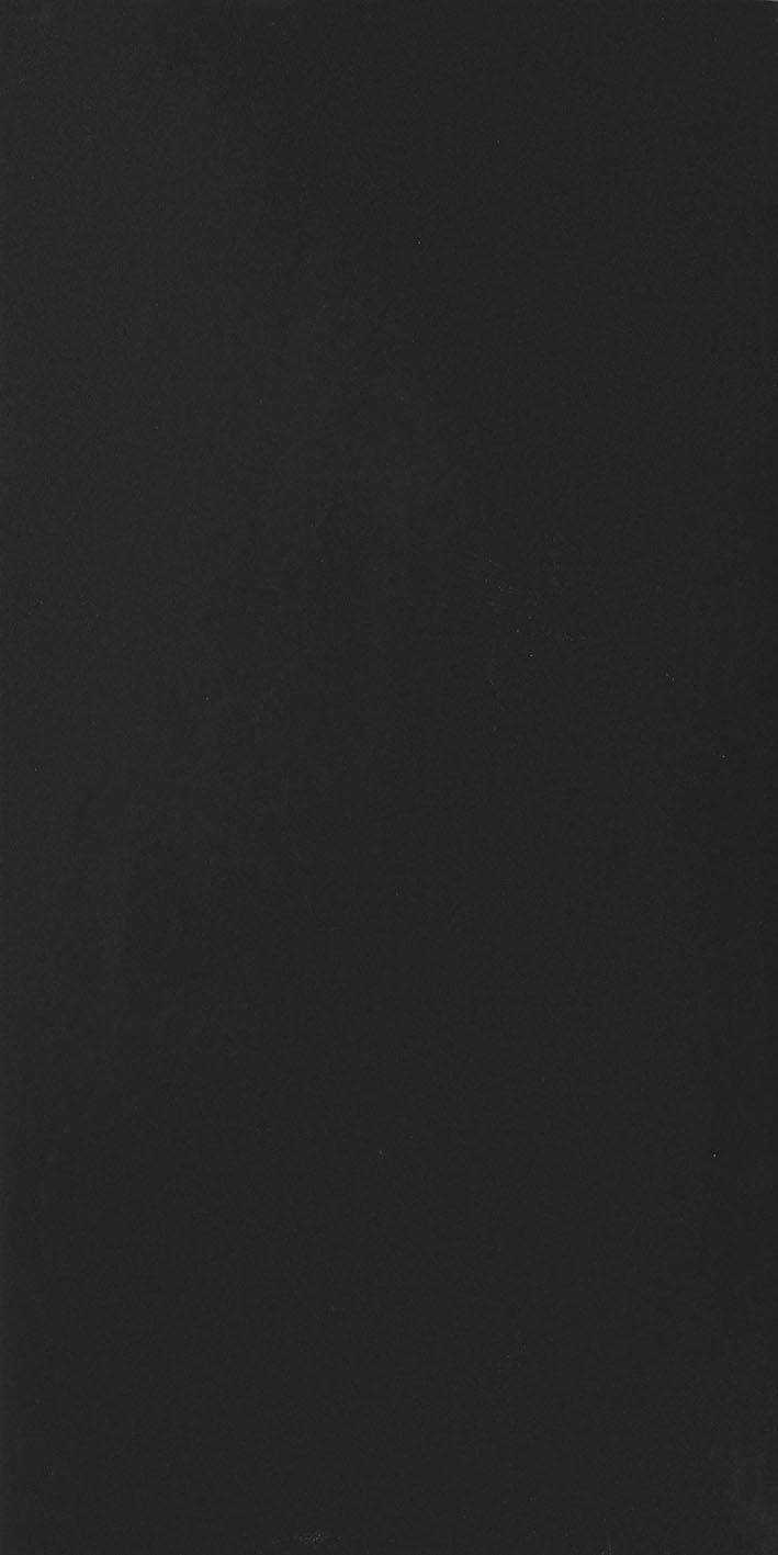 Black 60x120 матовая 6 мм