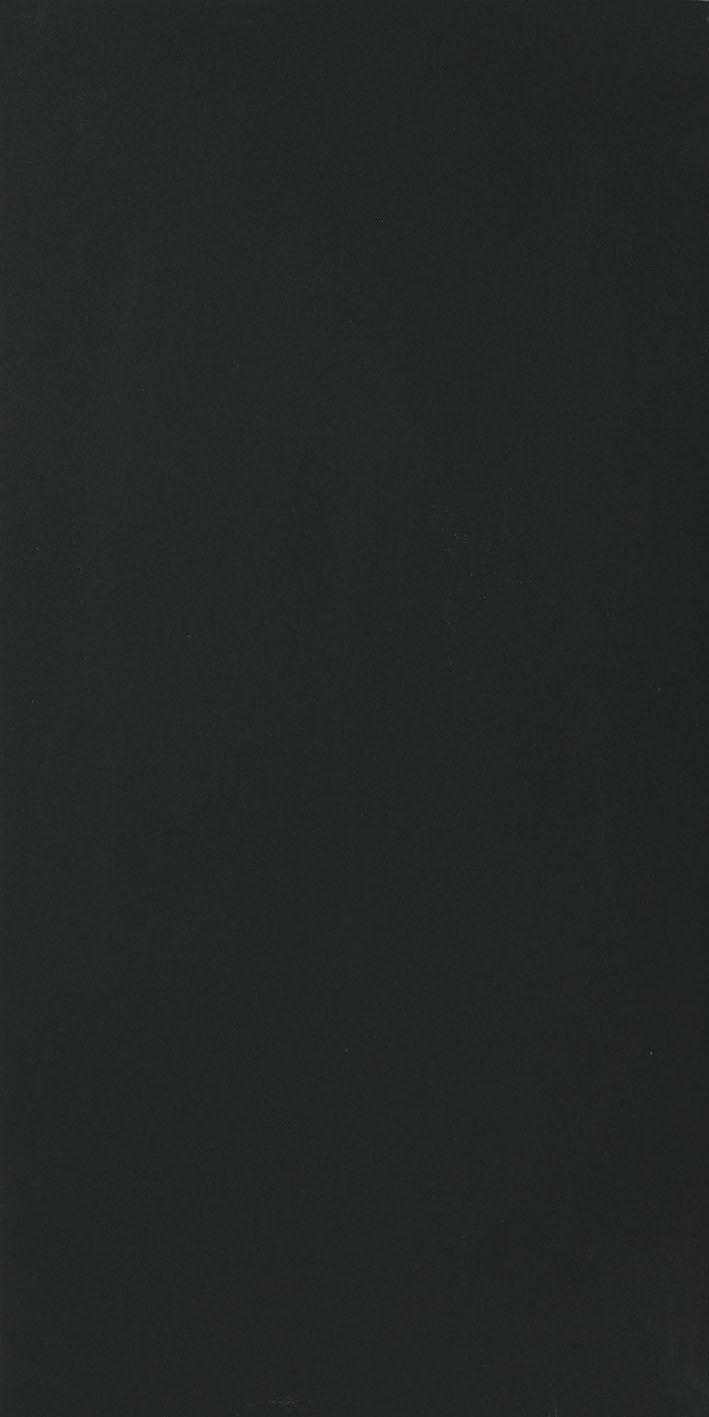 Black 60x120 глянцевая 6 мм