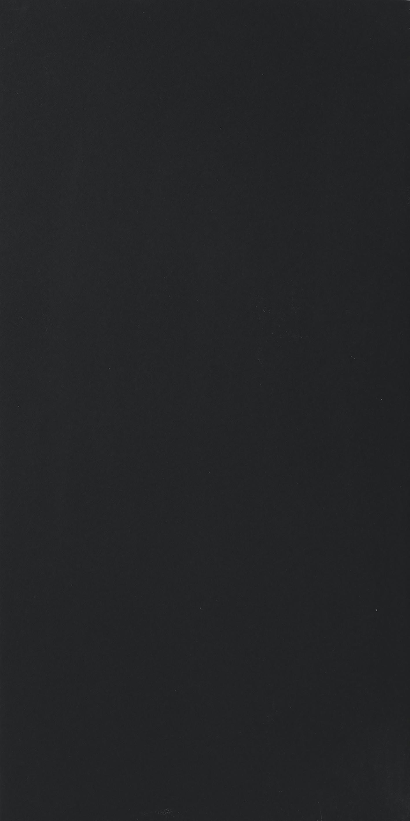 Black 60x120 глянцевая 9 мм