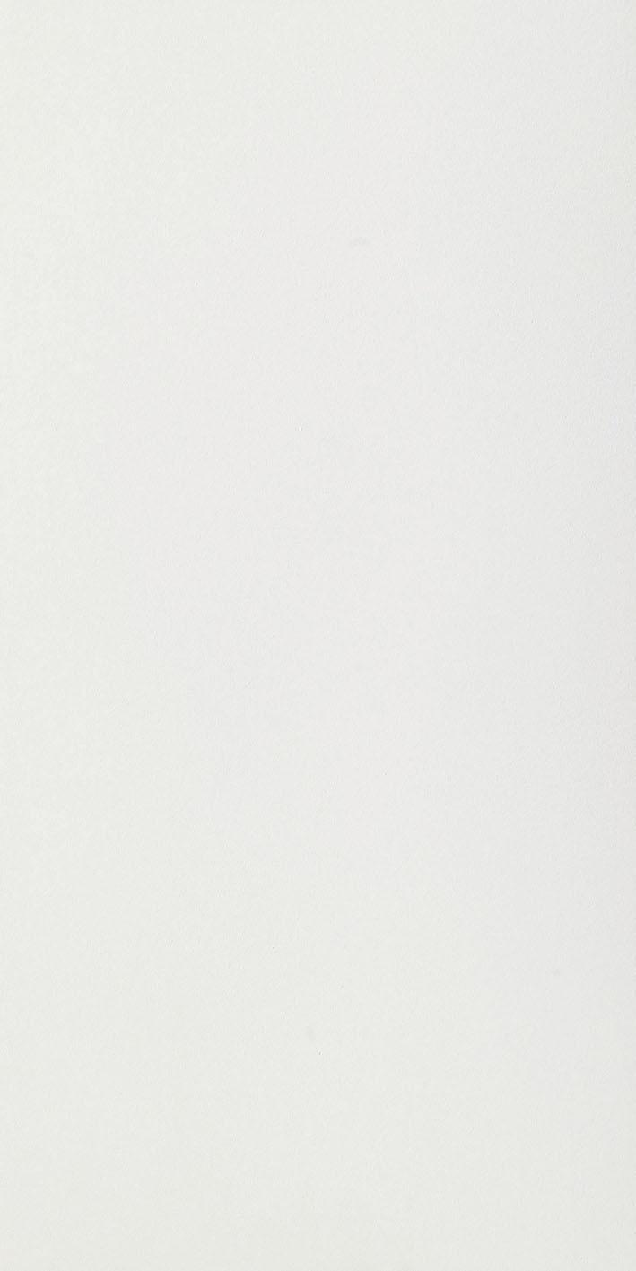 White 60x120 матовая 6 мм