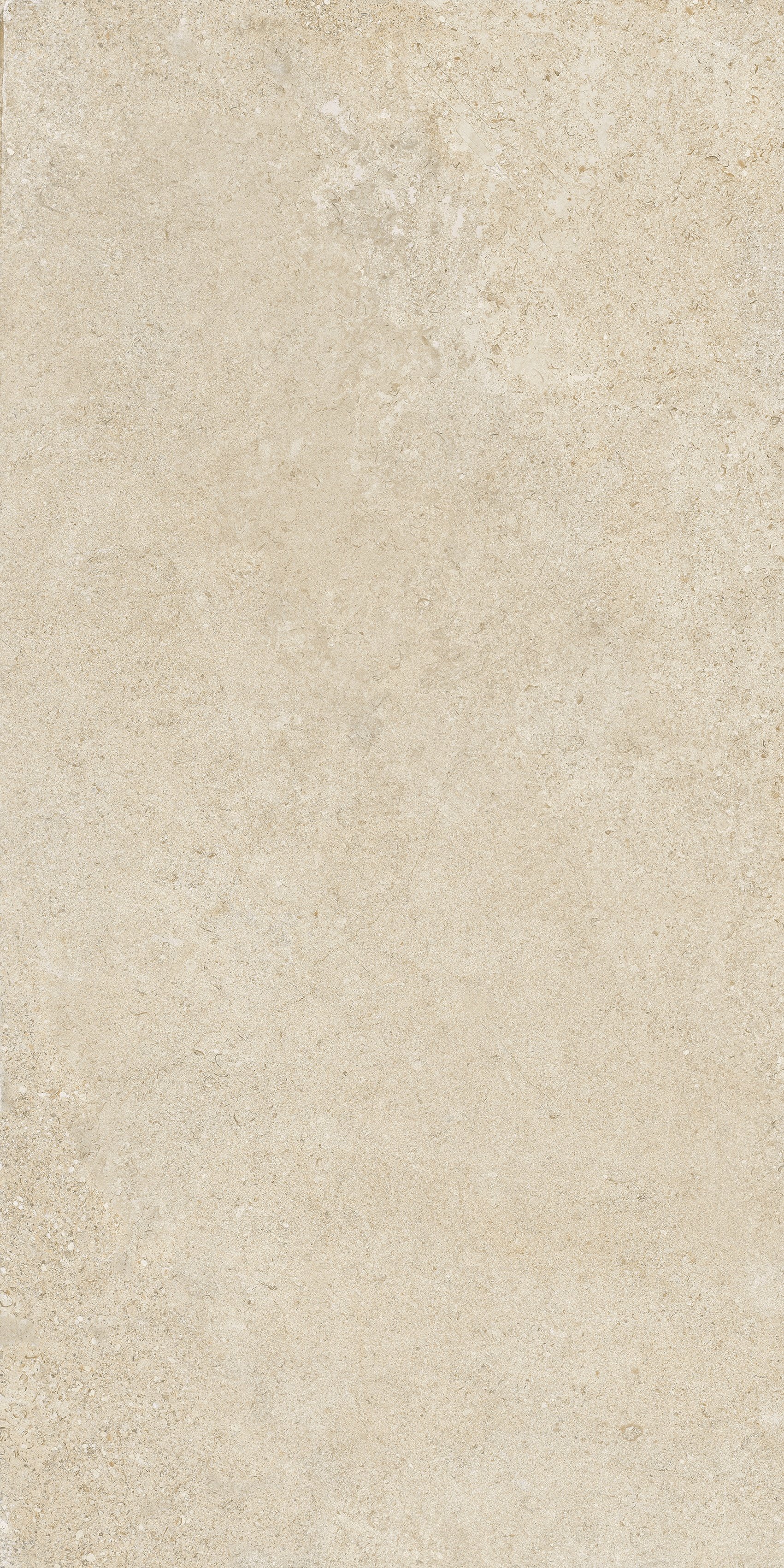Champagne 60x120 структурная 20 мм