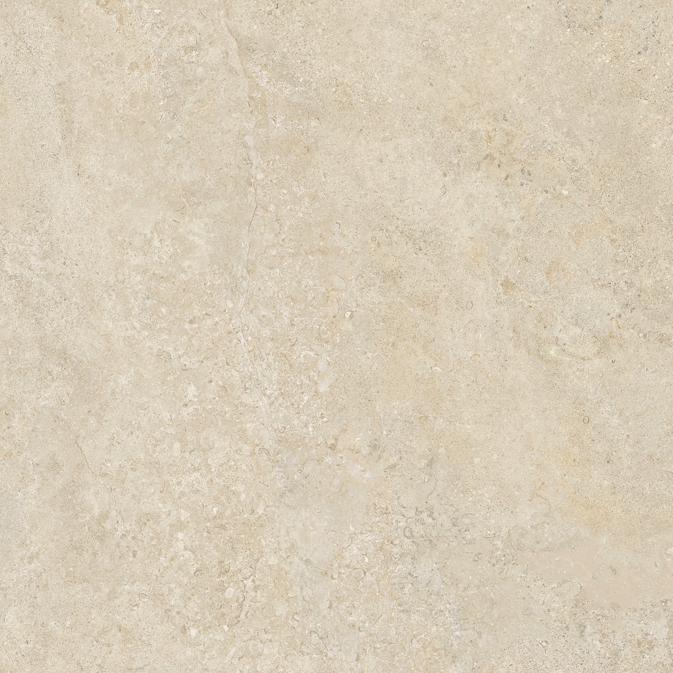 Champagne 80x80
