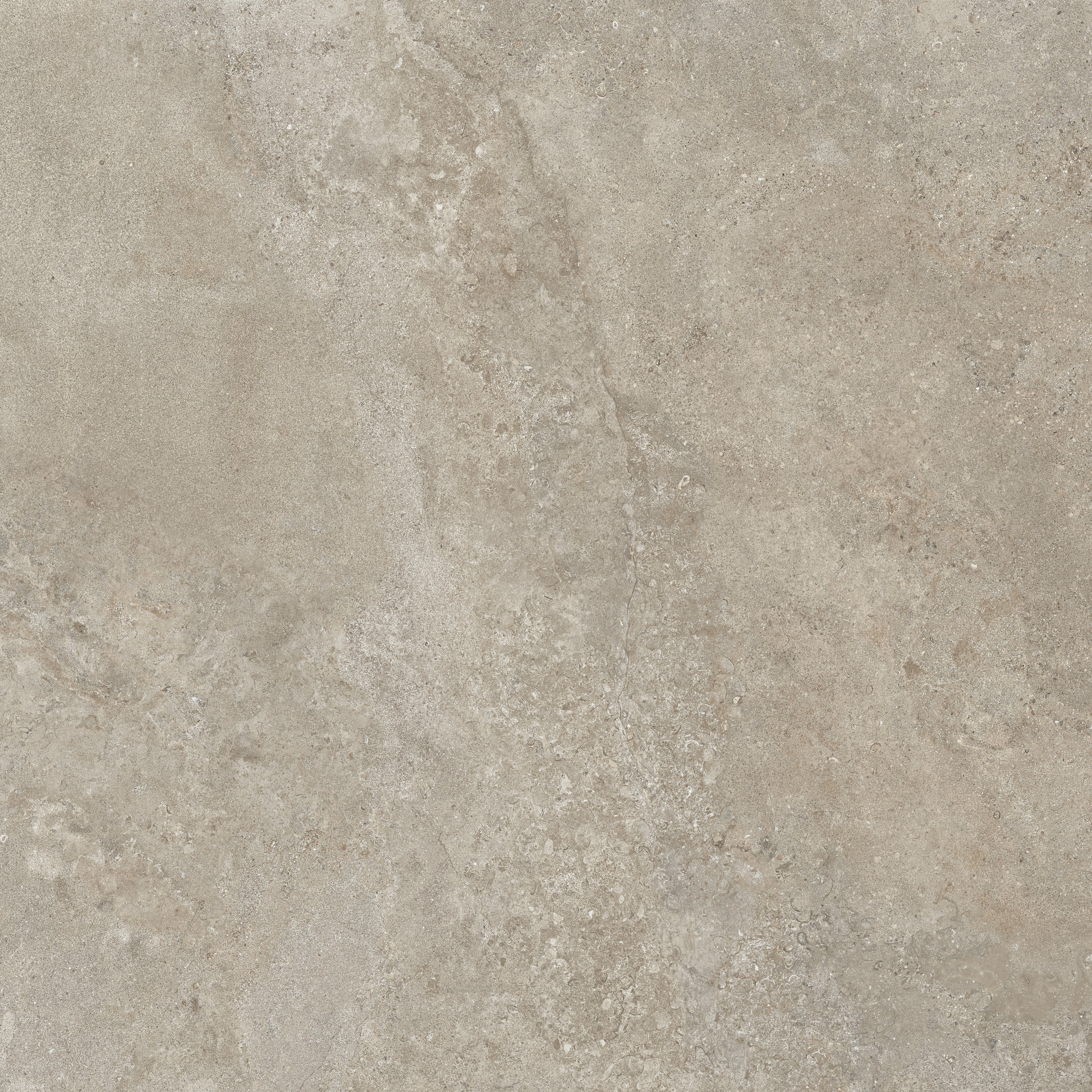 Dove Grey 120x120