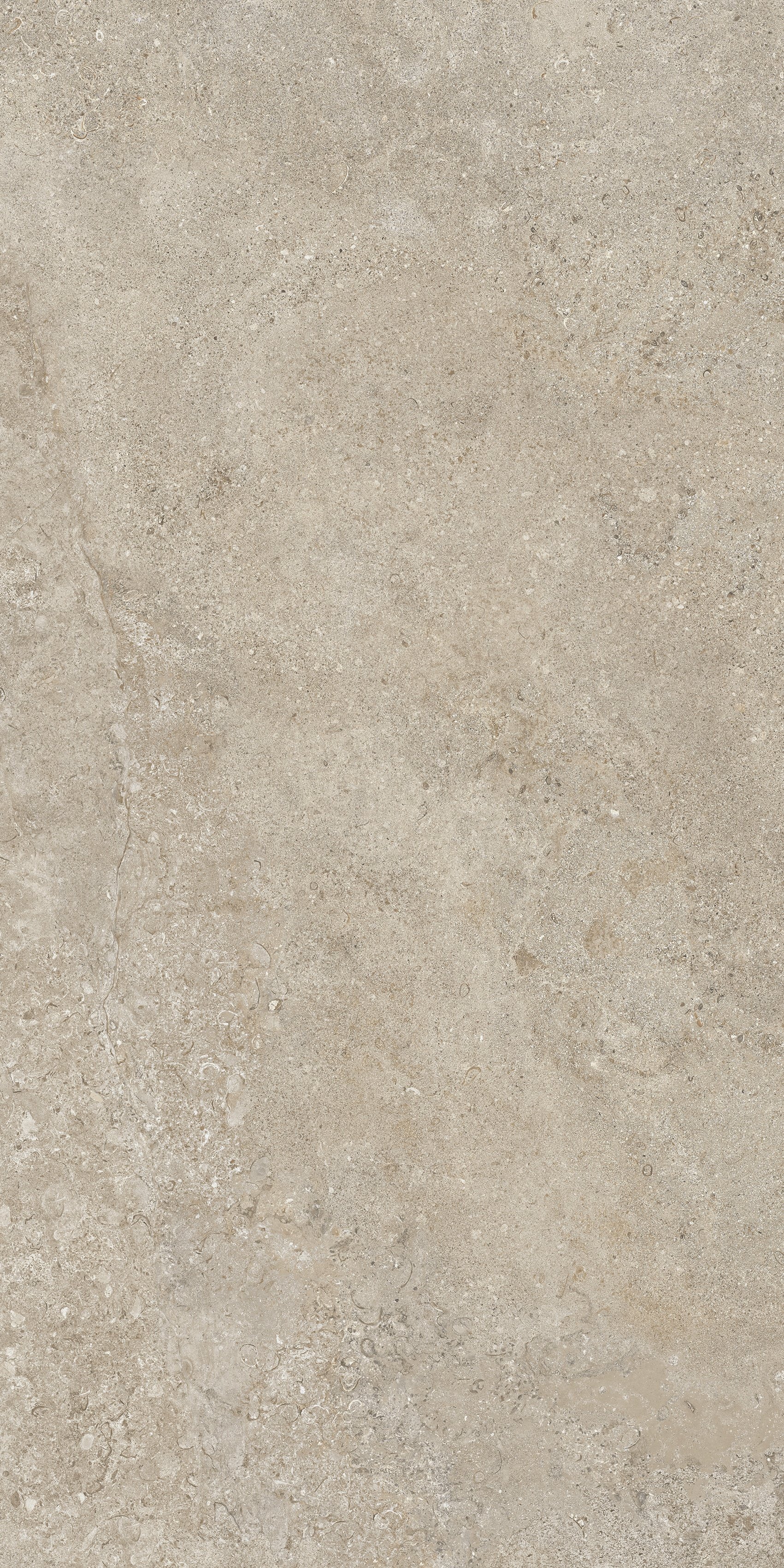Dove Grey 60x120 структурная 9 мм