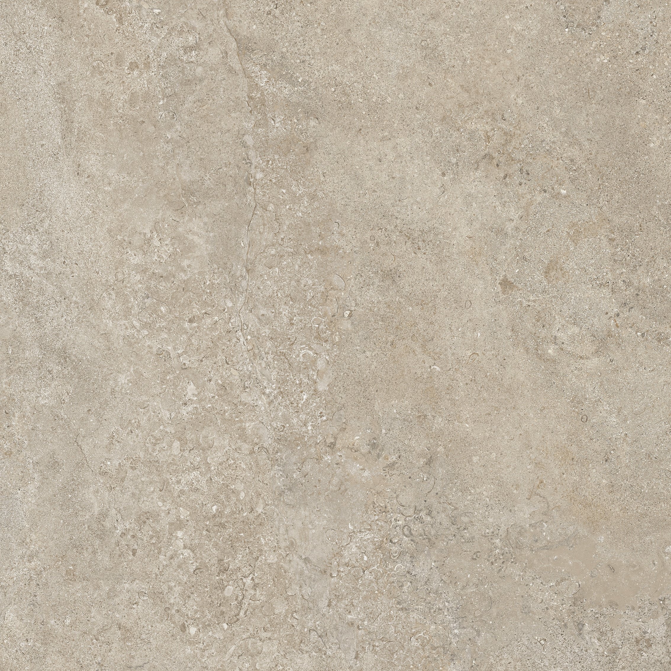 Dove Grey 80x80