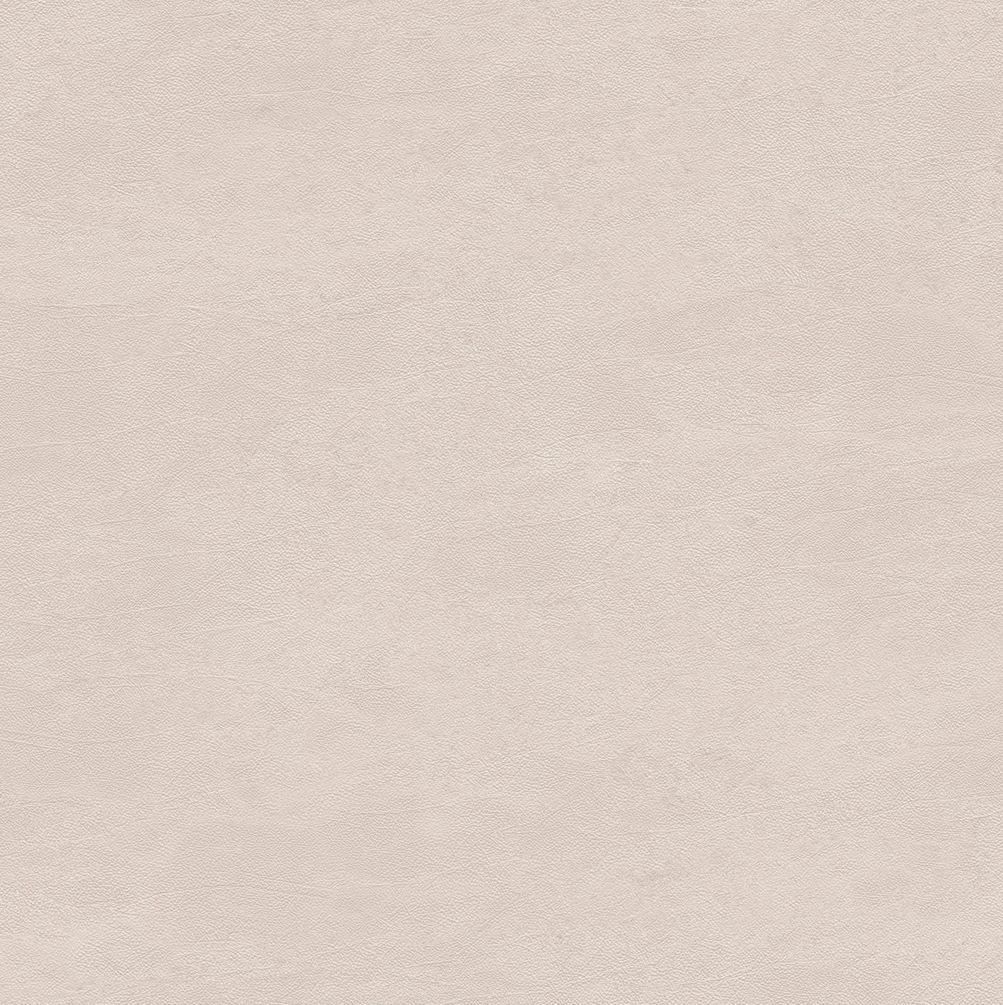 Radici Beige 120x120