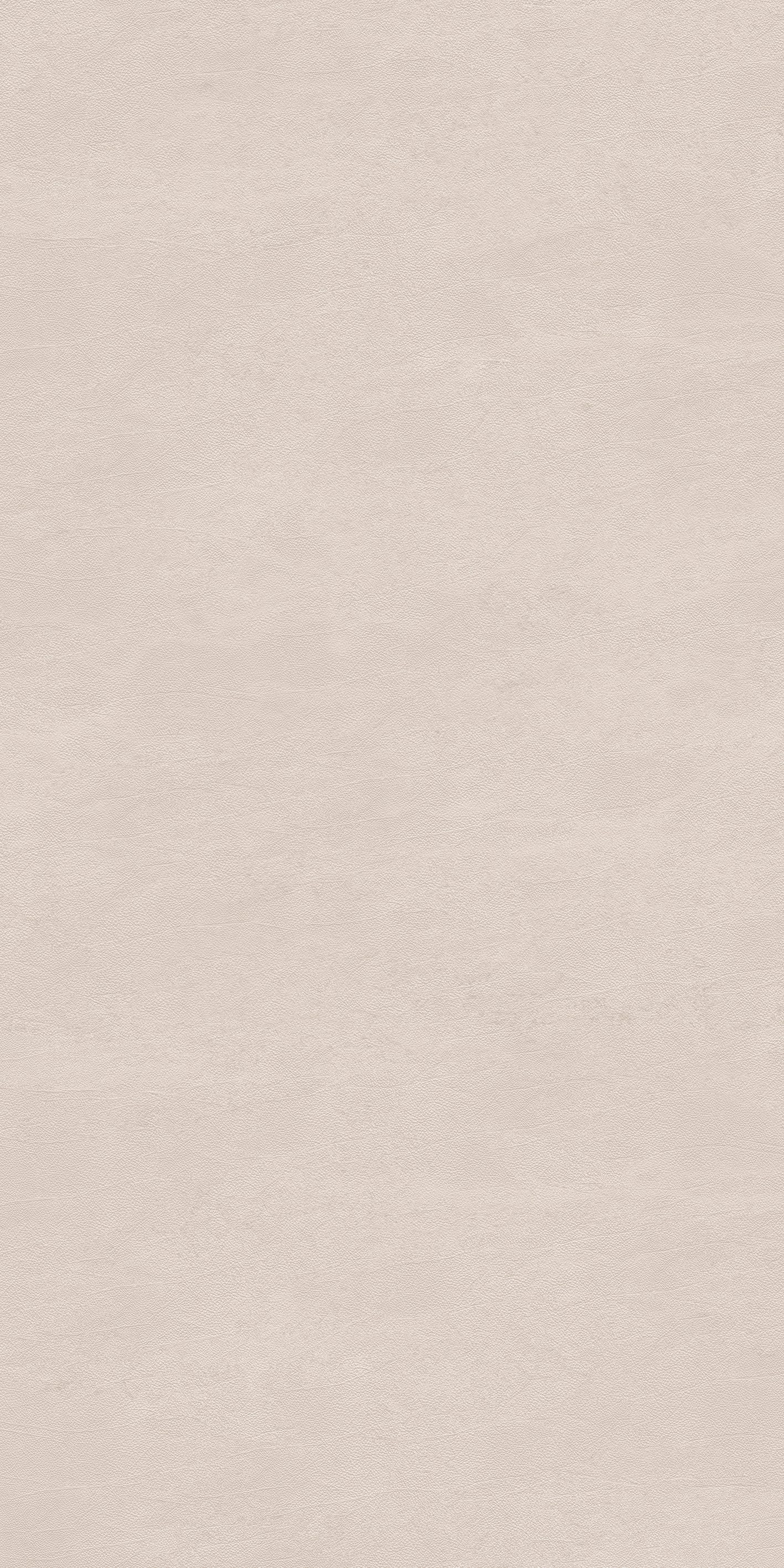 Radici Beige 120x240