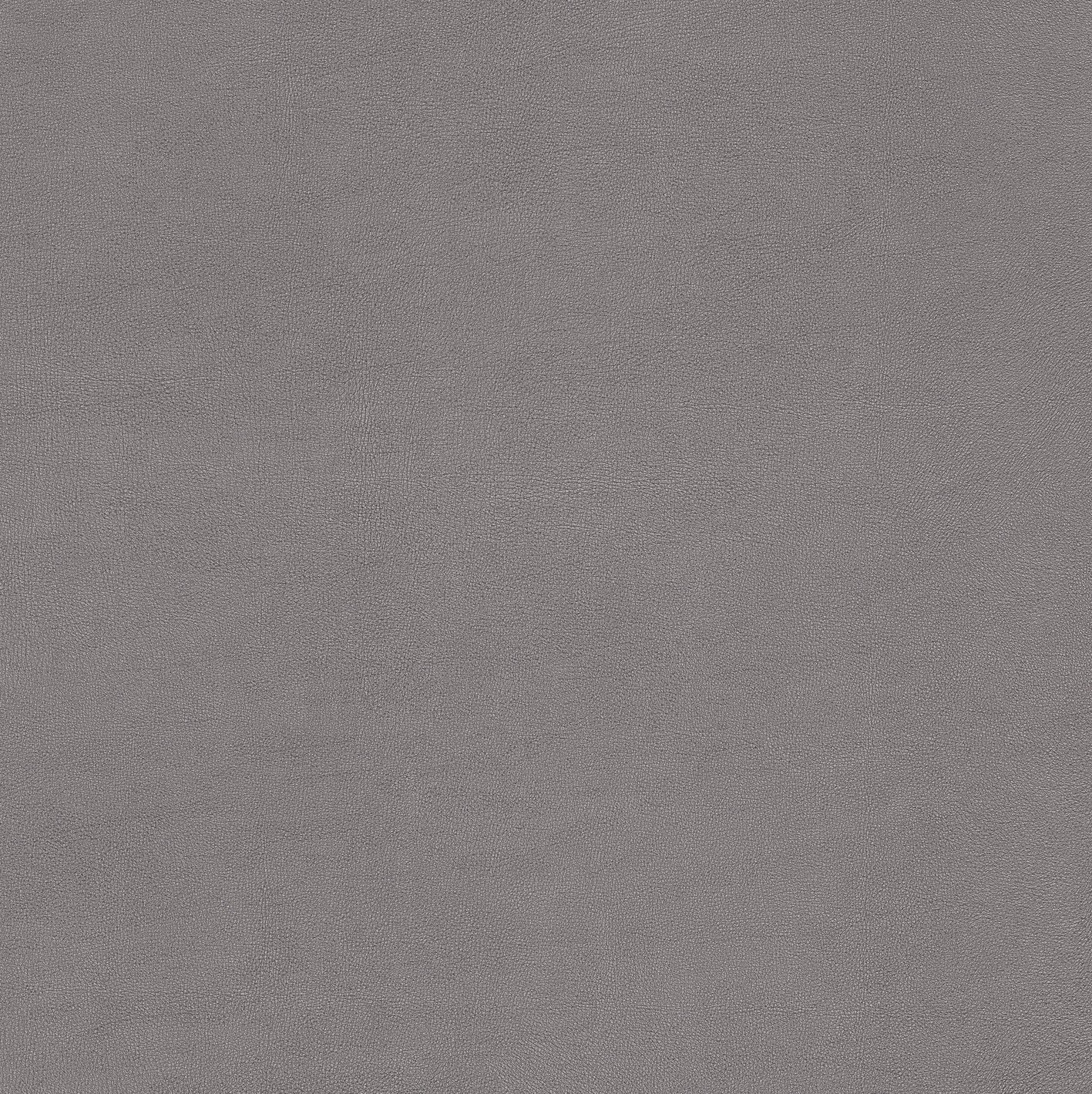Radici Grigio 120x120