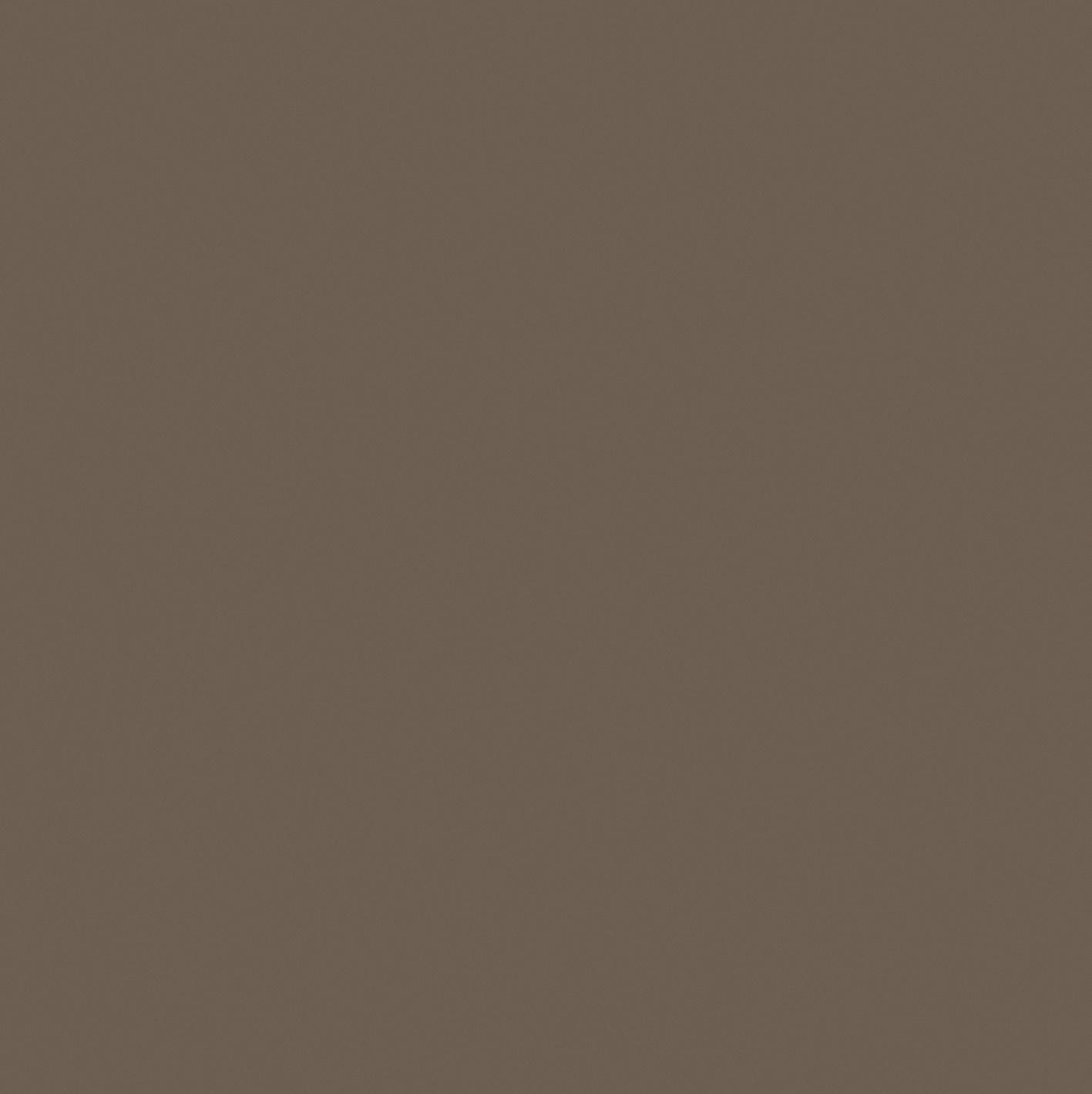 Hazelnut 120x120