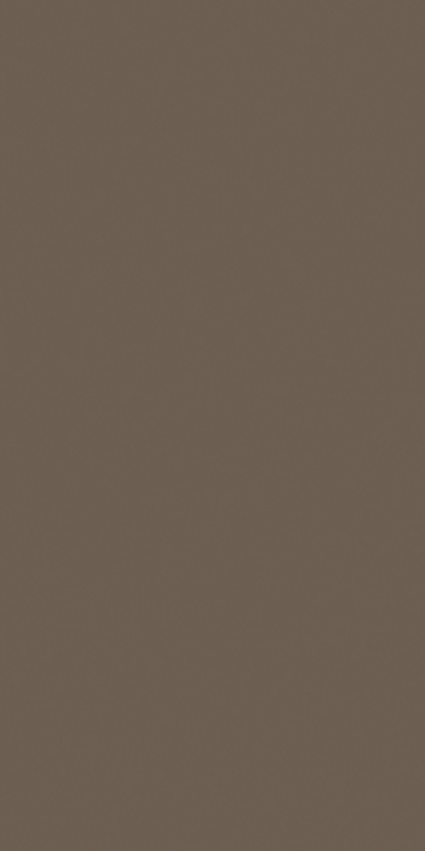Hazelnut 120x240