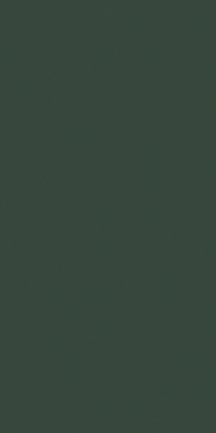 Керамогранит Moss 60x120 60×120 см - коллекция Crayons, Florim