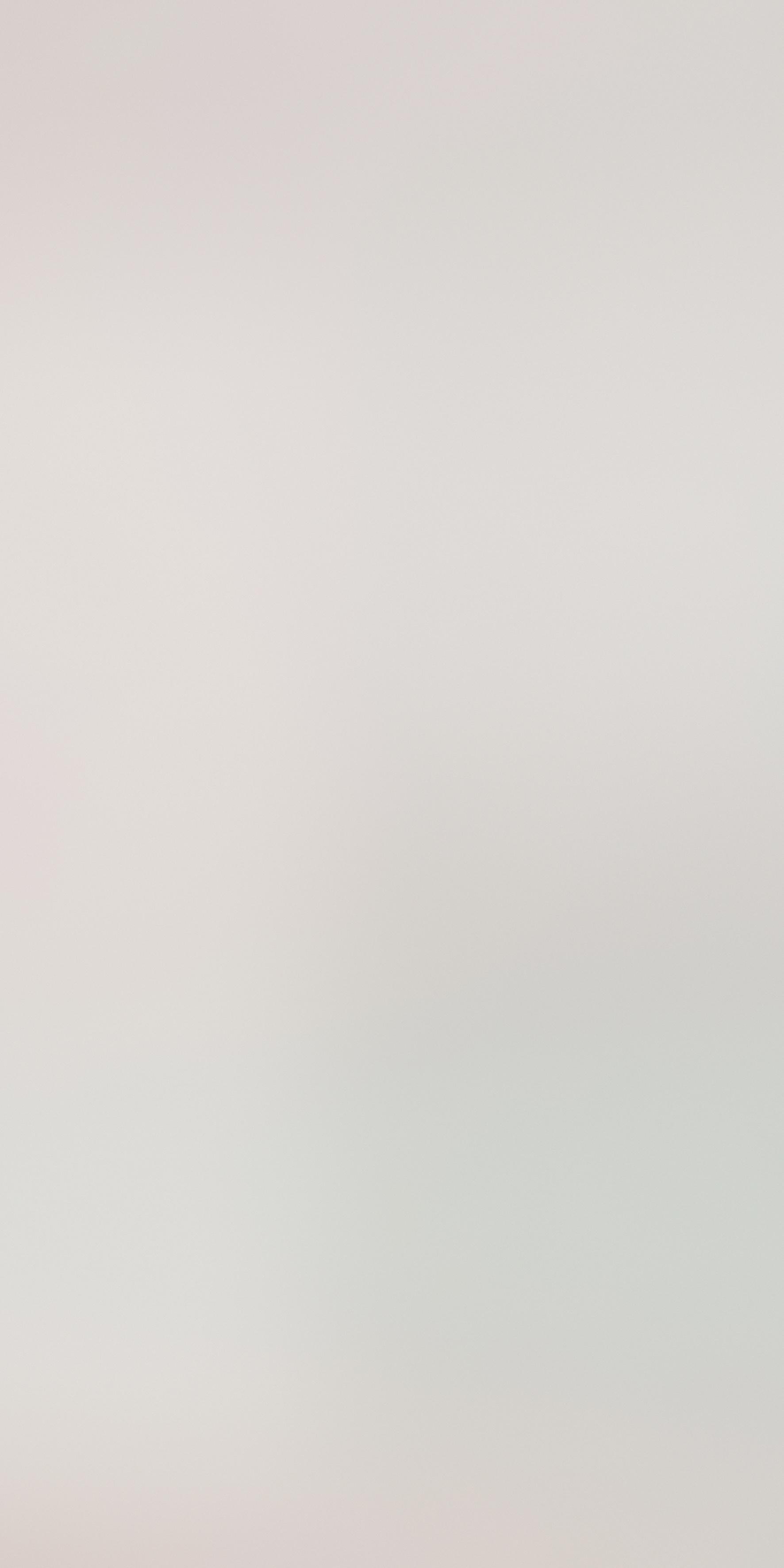 Grigio 120x240 матовая
