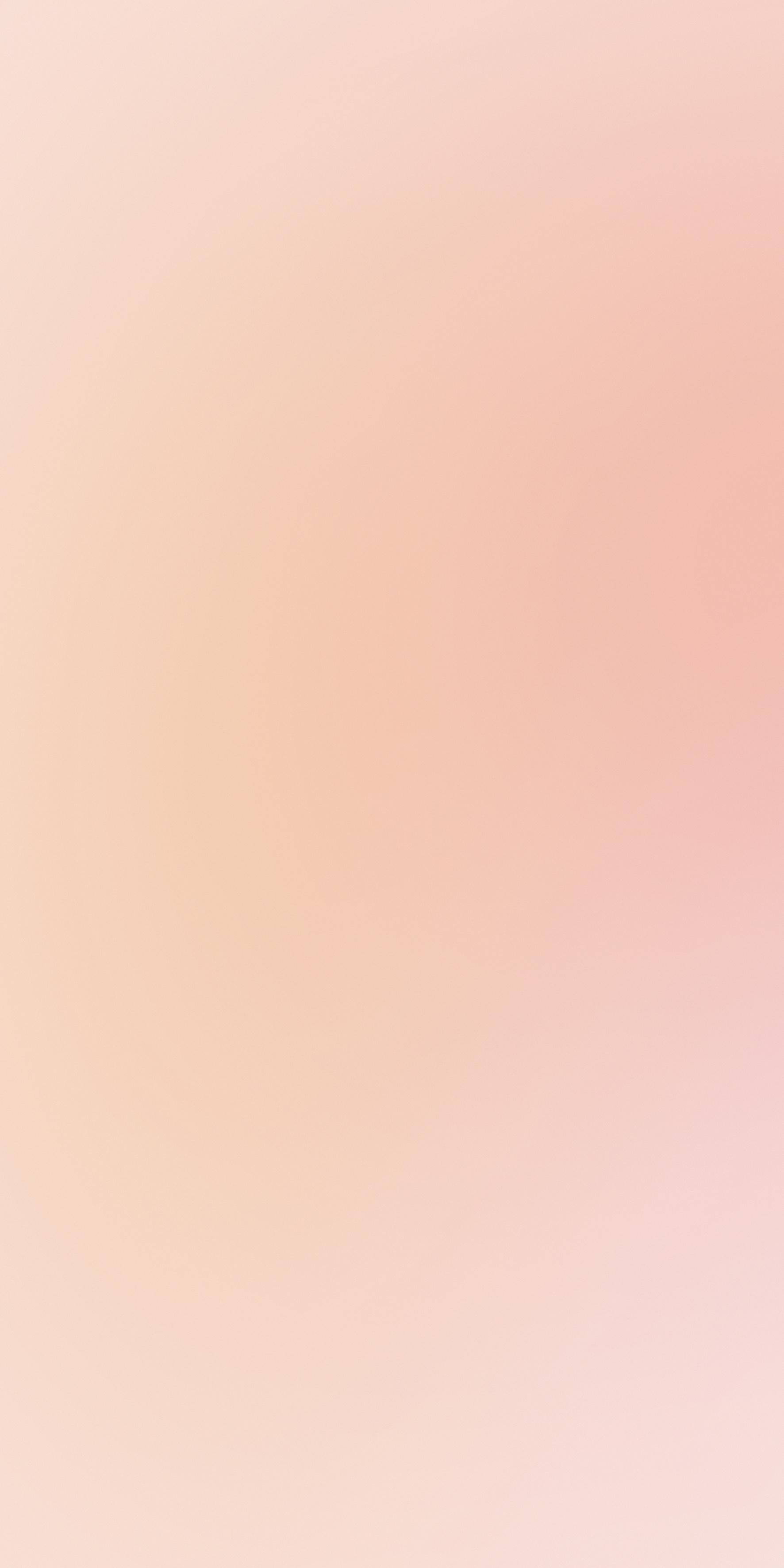 Rosa 120x240 глянцевая