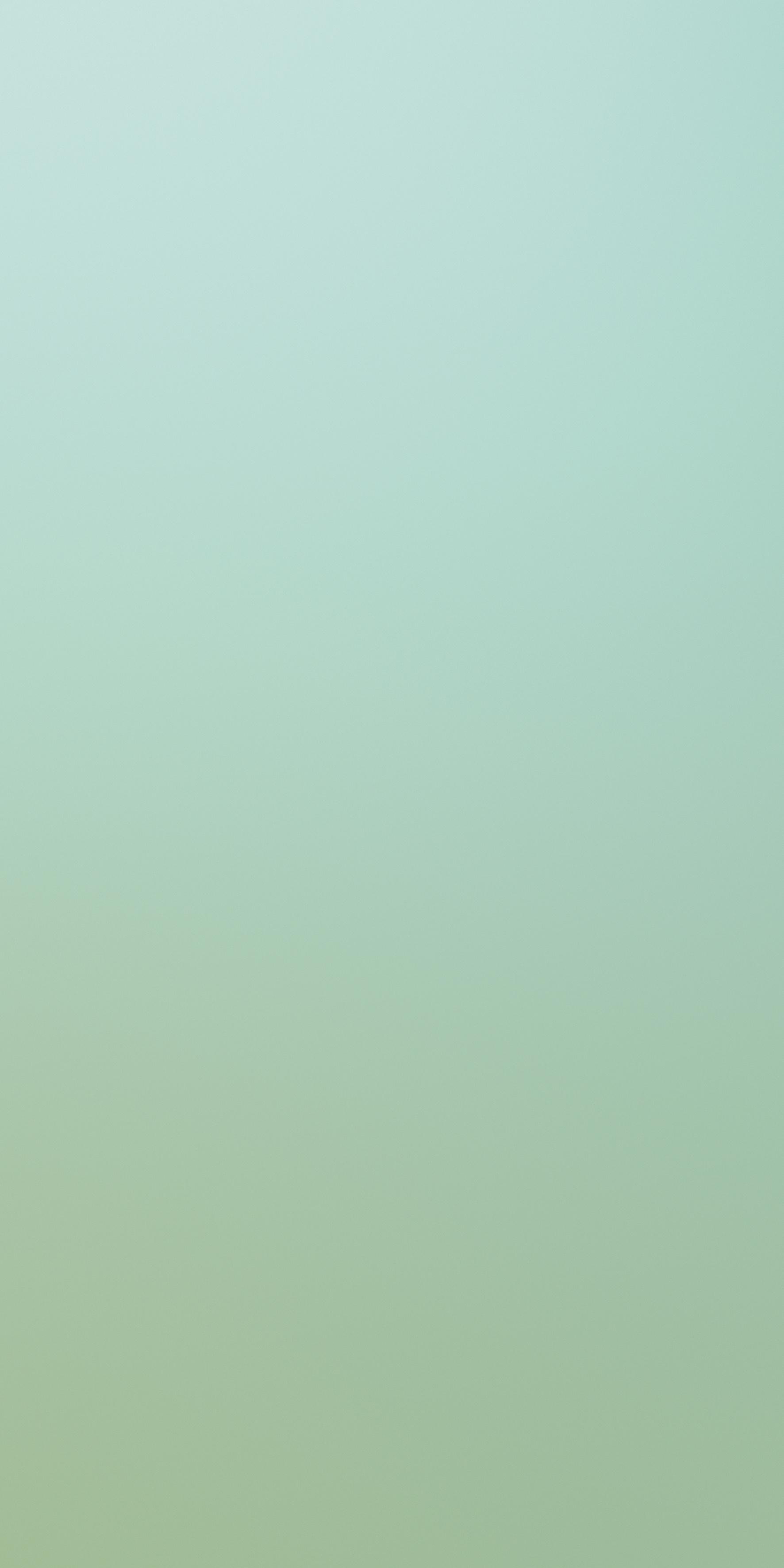 Verde 120x240 матовая