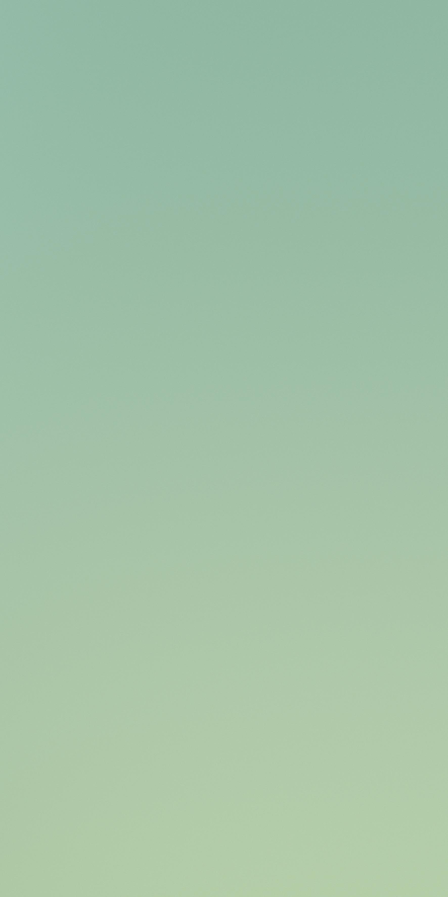 Verde 120x240 глянцевая