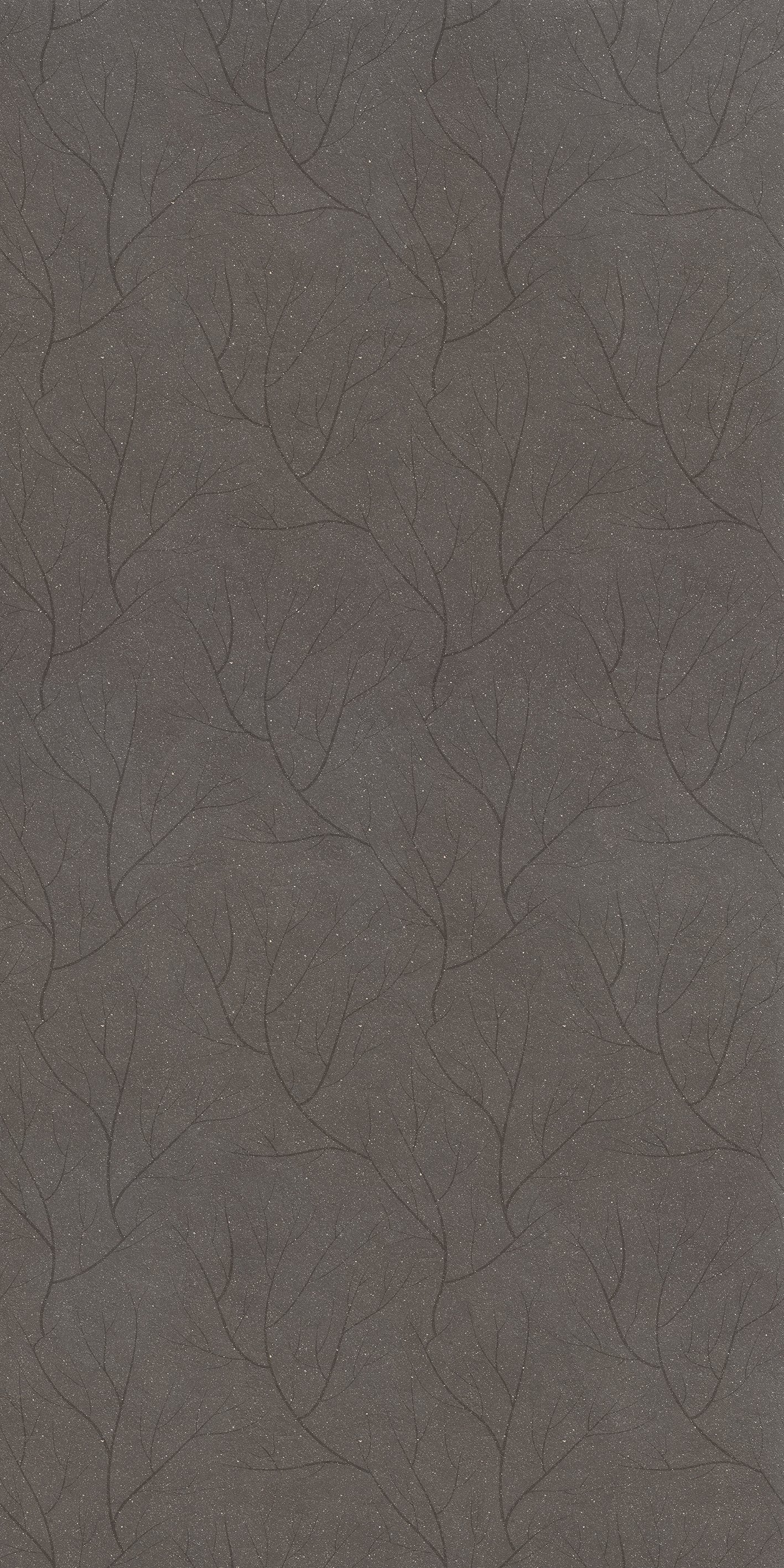 Carbon_Ground Decoro Fronds 120x240 матовая 6 мм