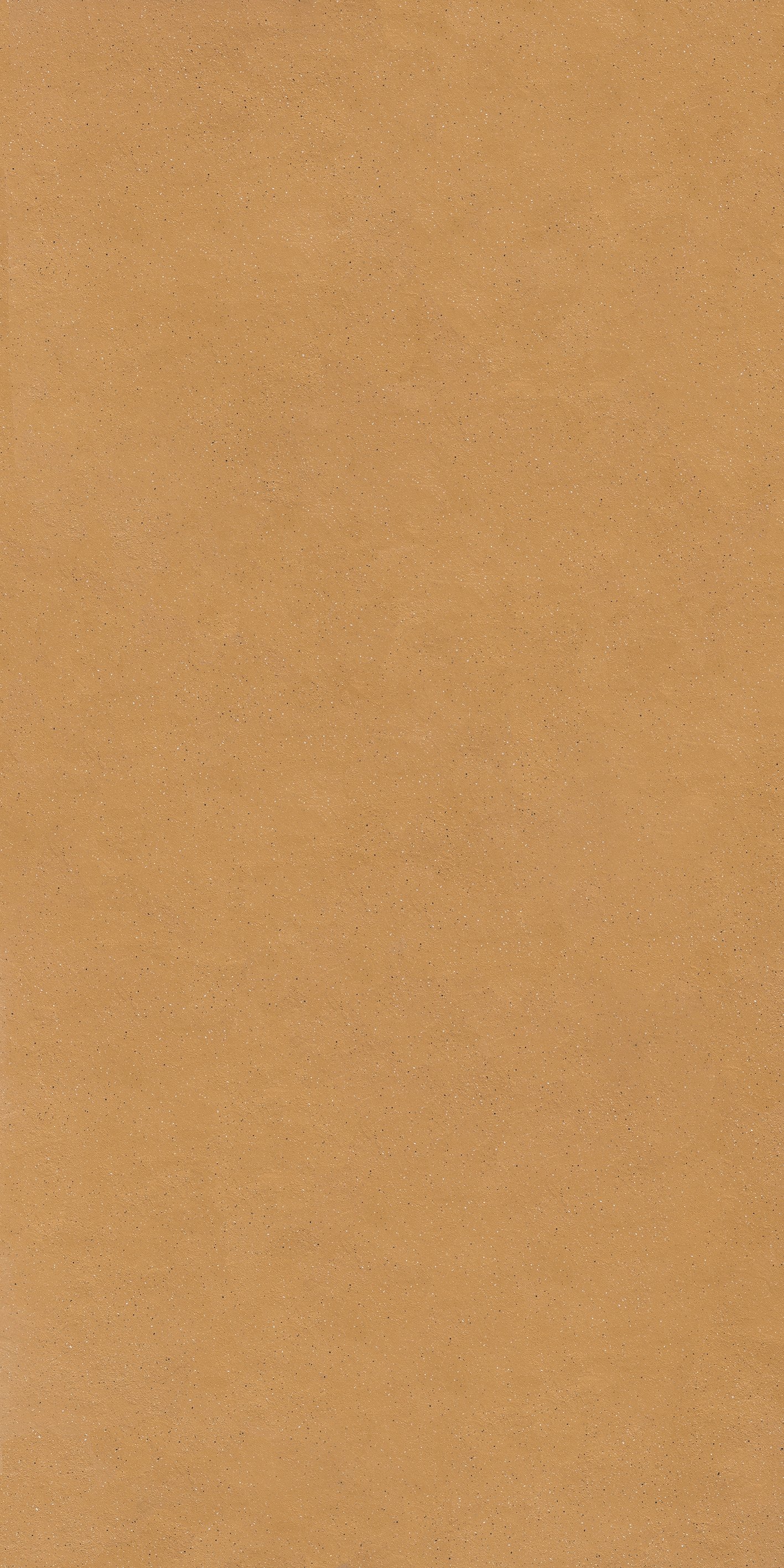 Savannah_Ground 120x240