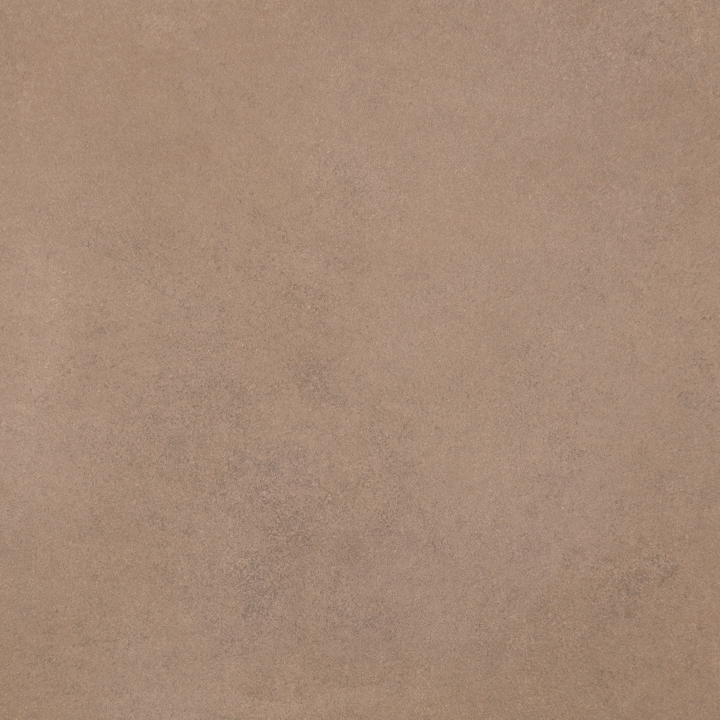 Barley 80x80 Matte