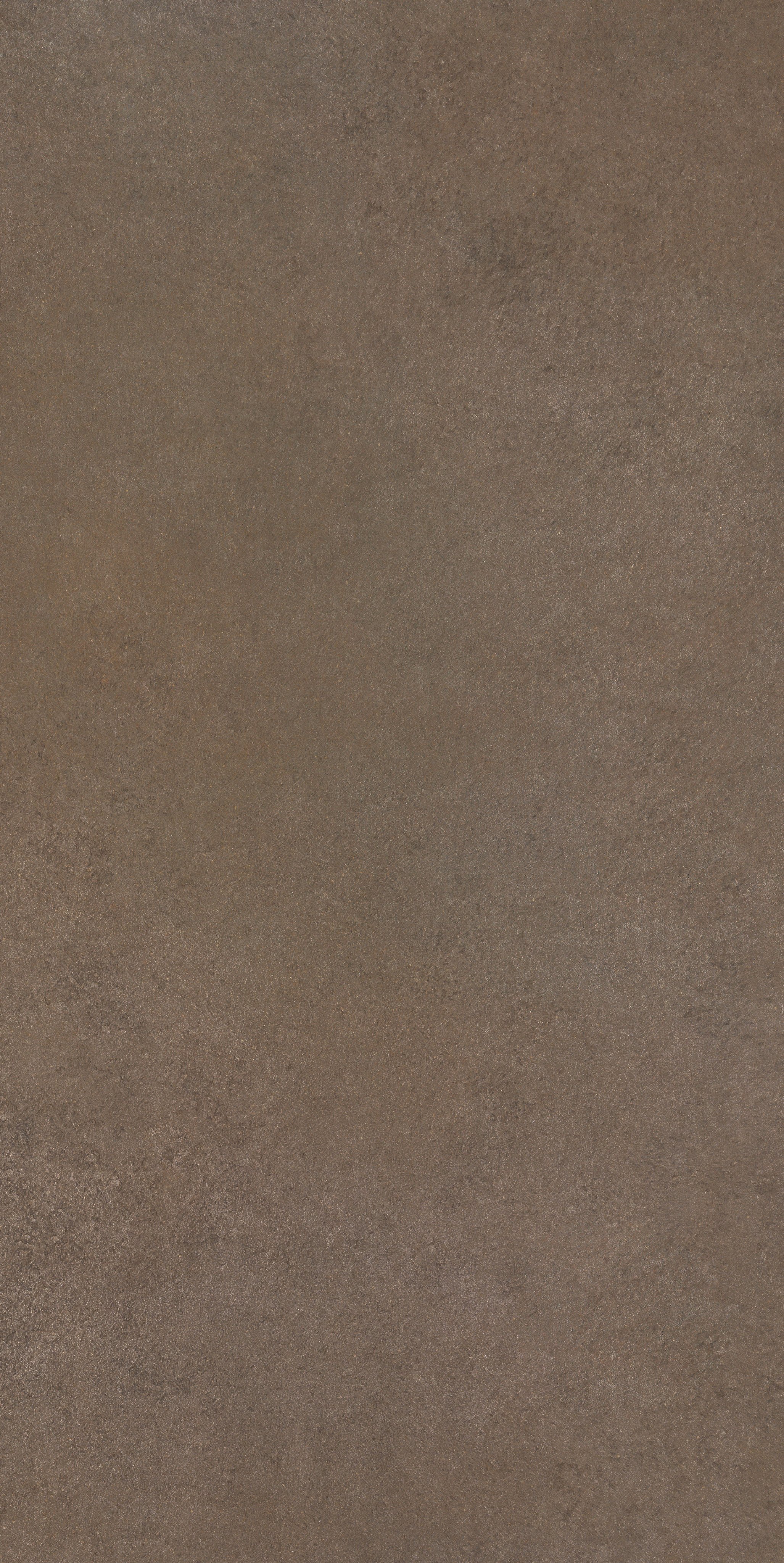 Mushroom 60x120 Matte