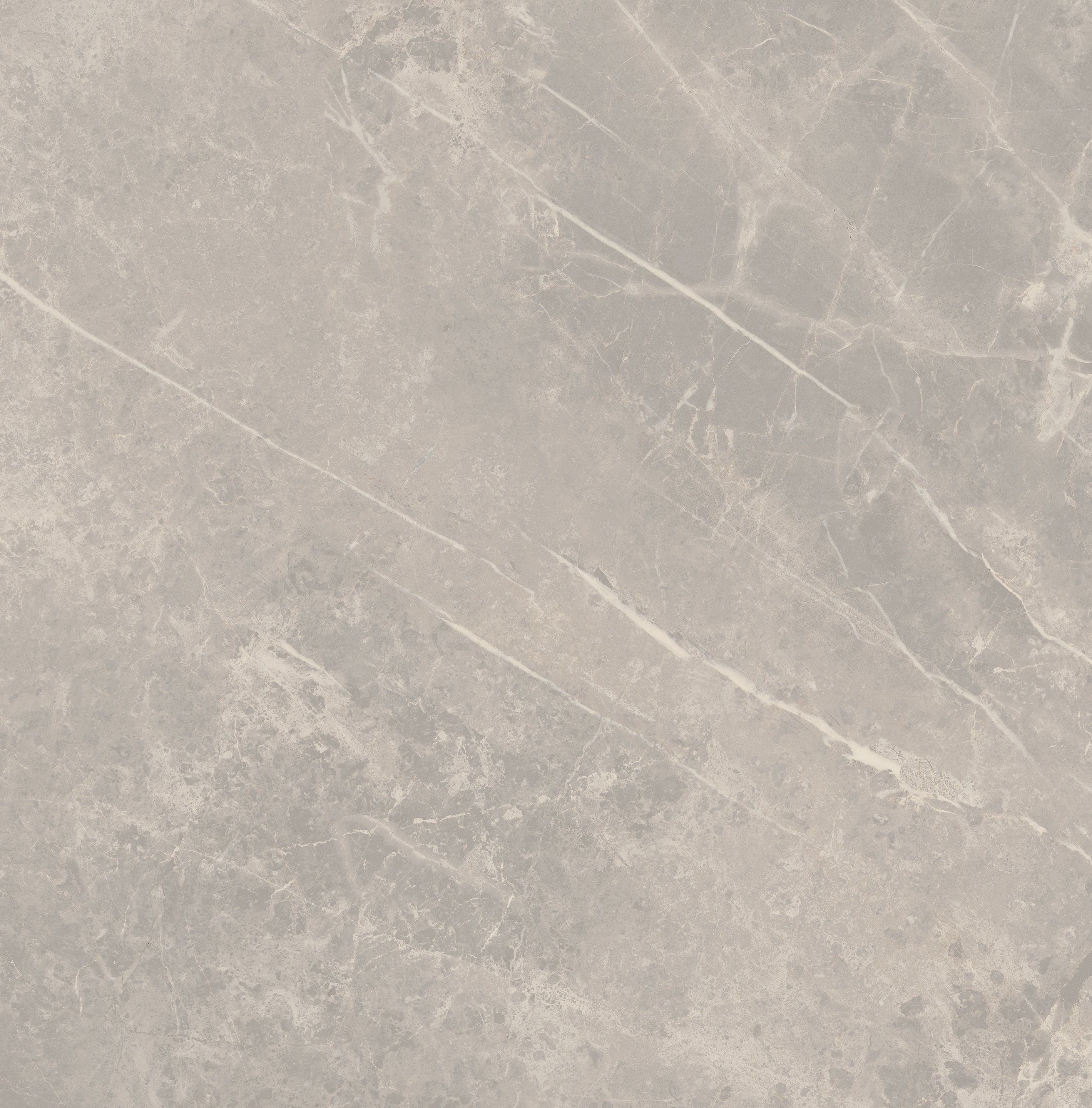 Grey Dolomia 120x120