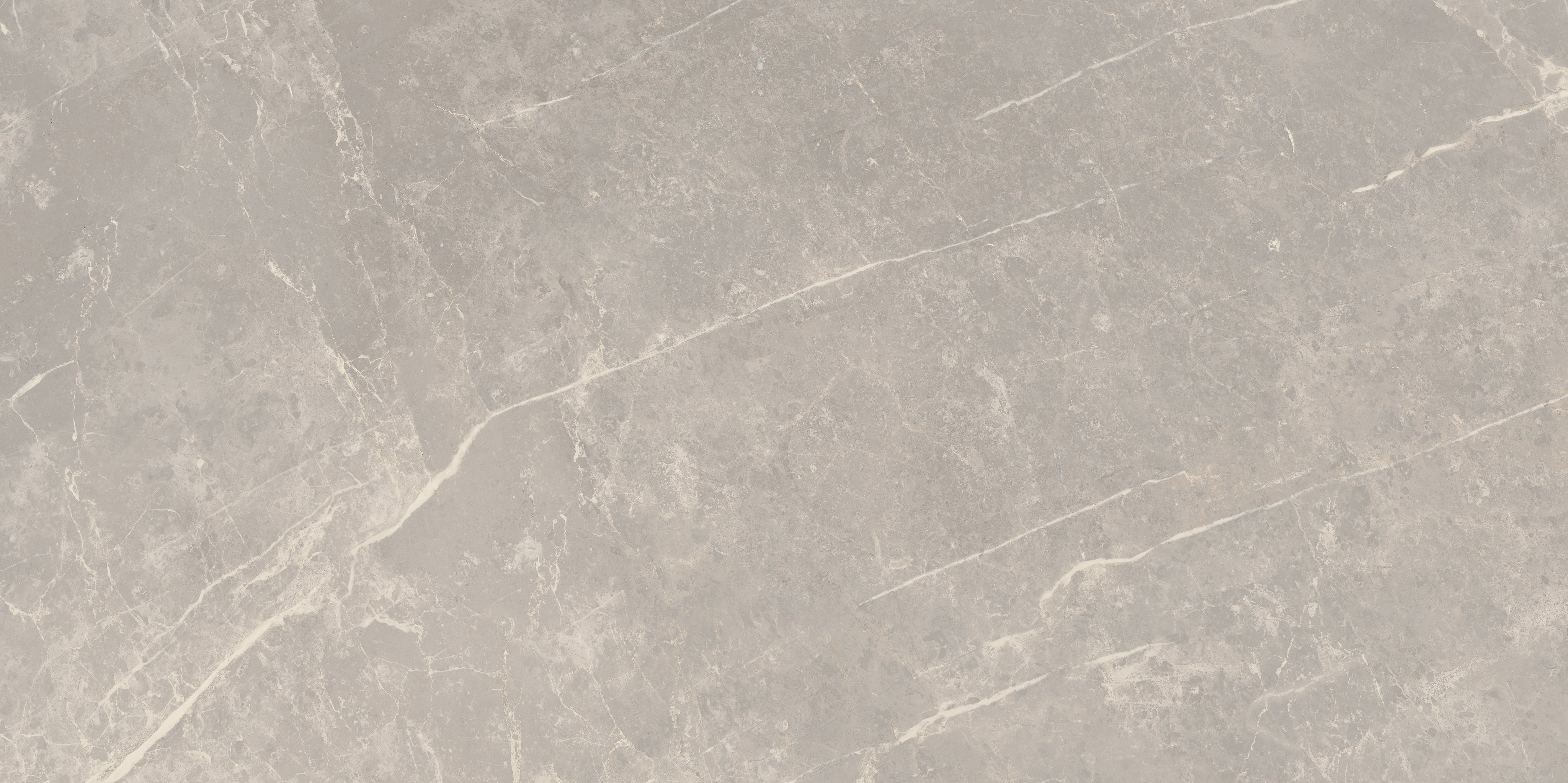 Grey Dolomia 60x120 глянцевая