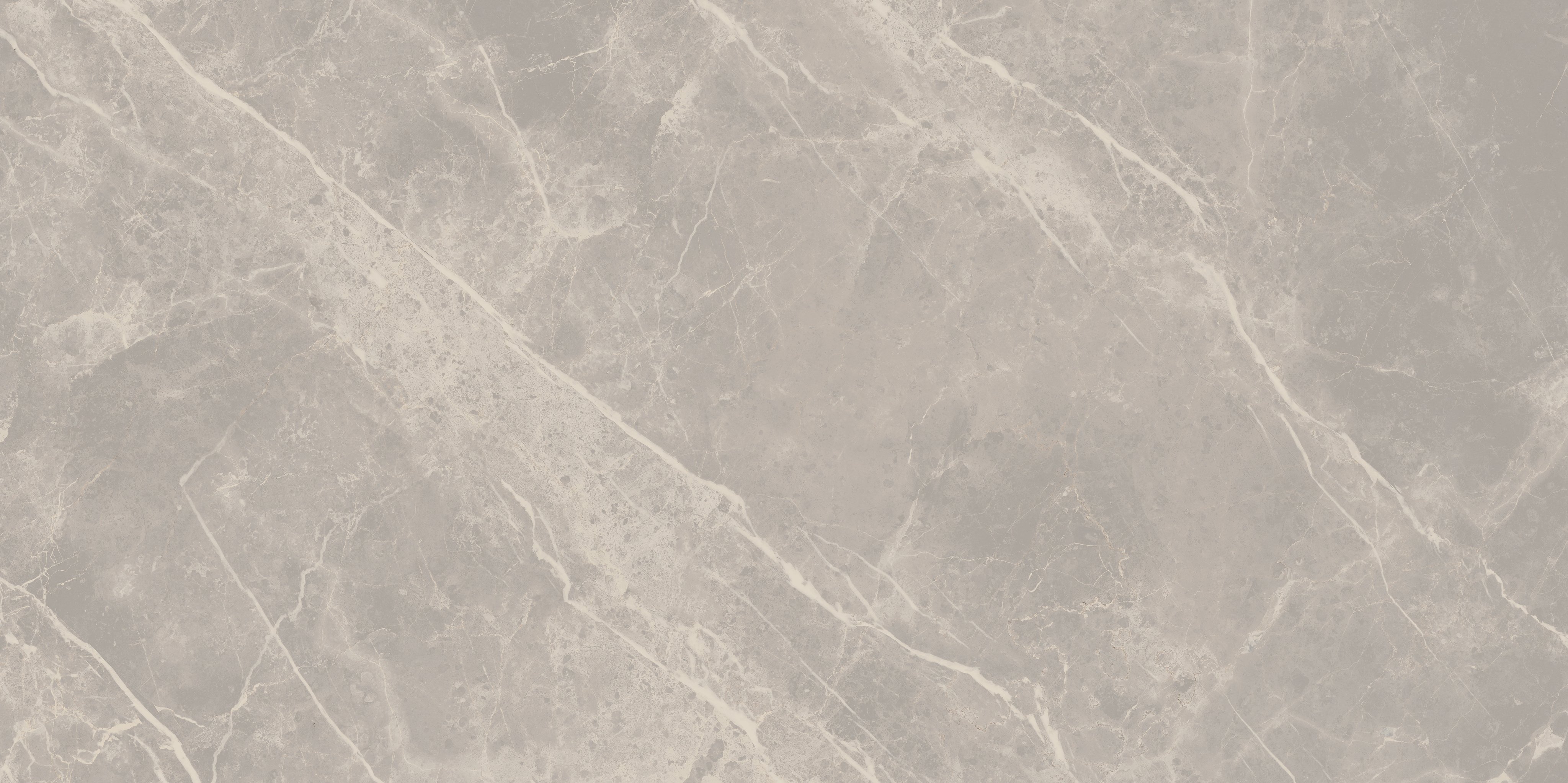 Grey Dolomia 60x120 матовая