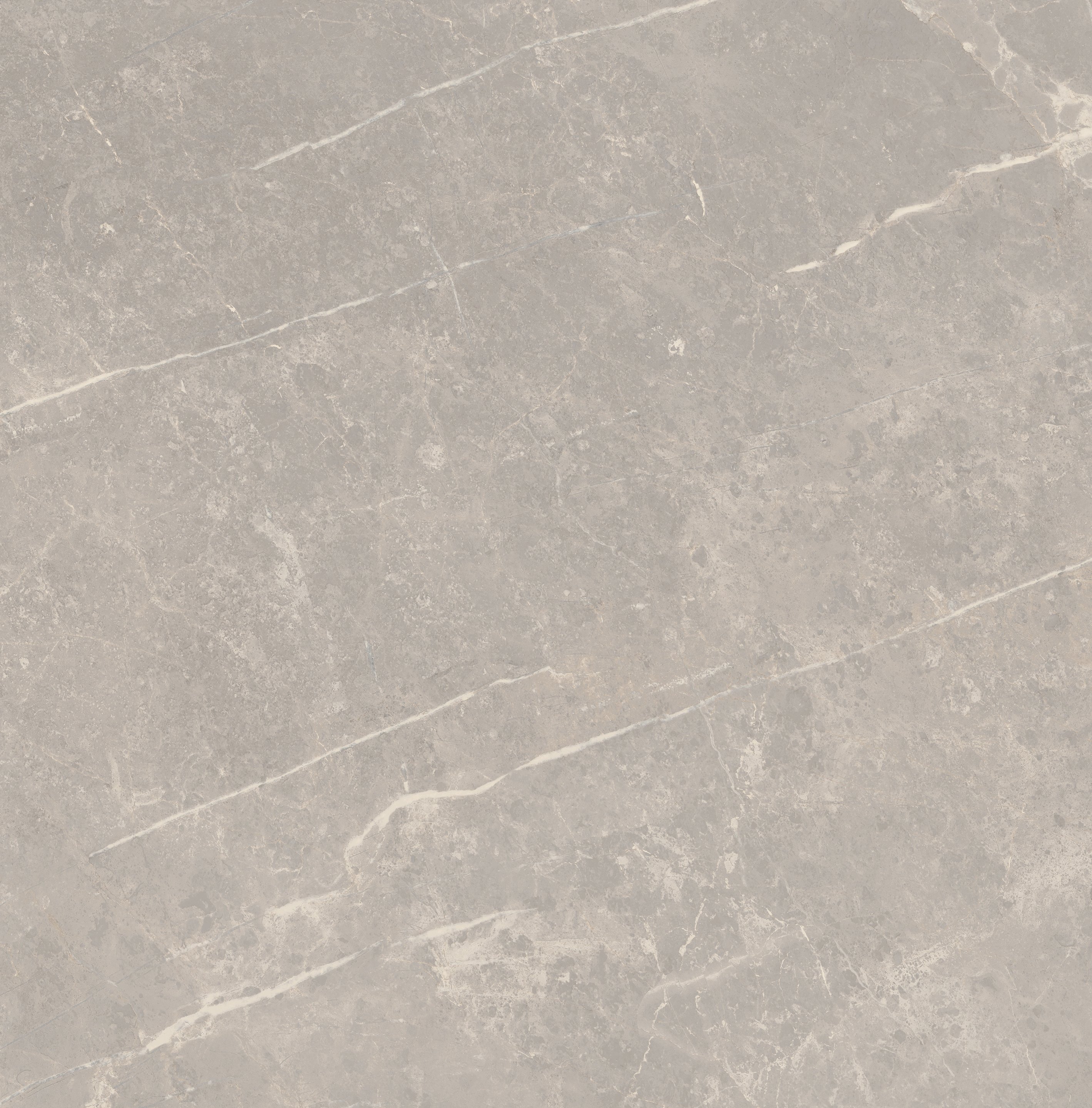 Grey Dolomia 60x60 глянцевая
