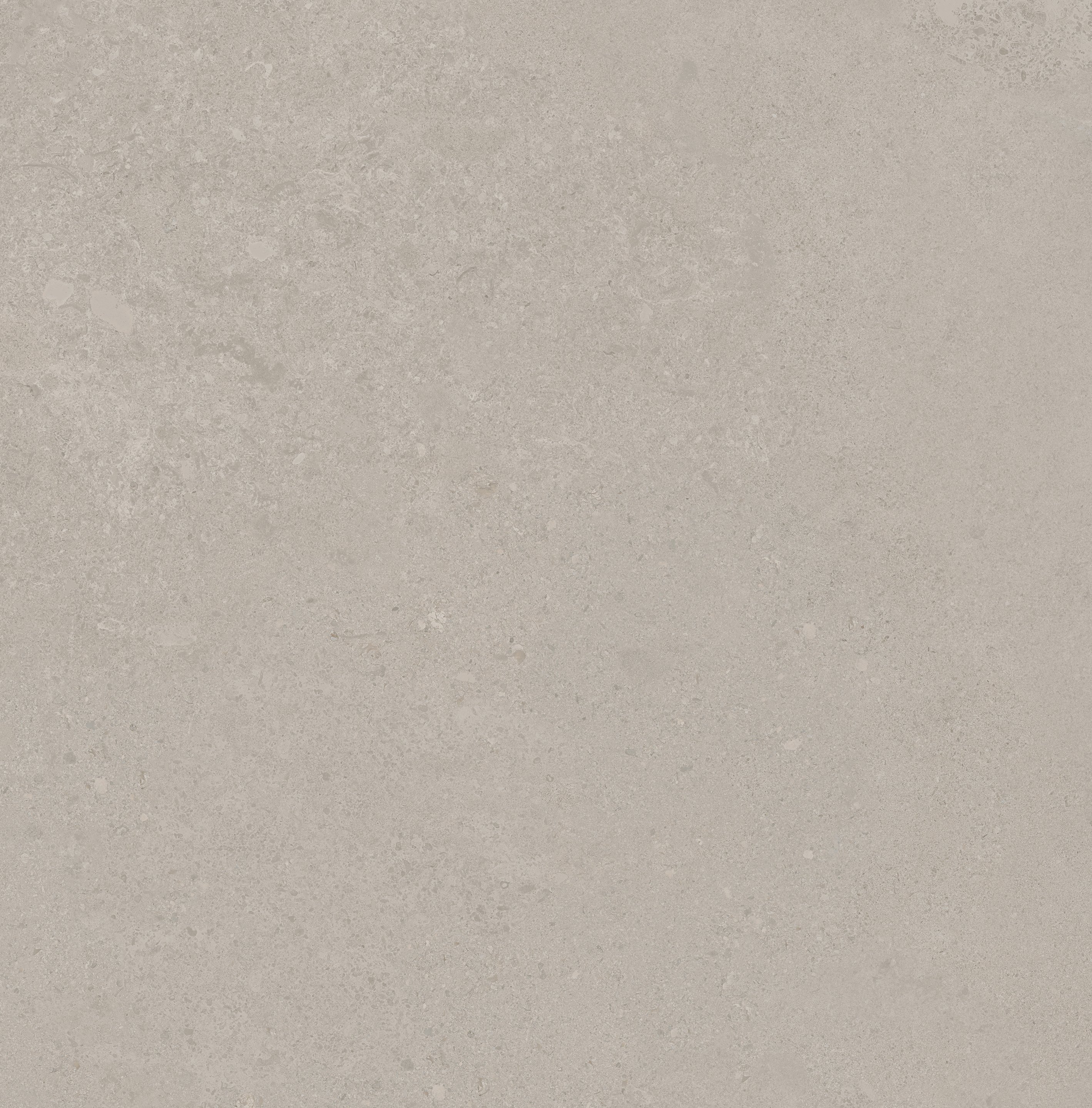 Grey Limestone 60x60 глянцевая