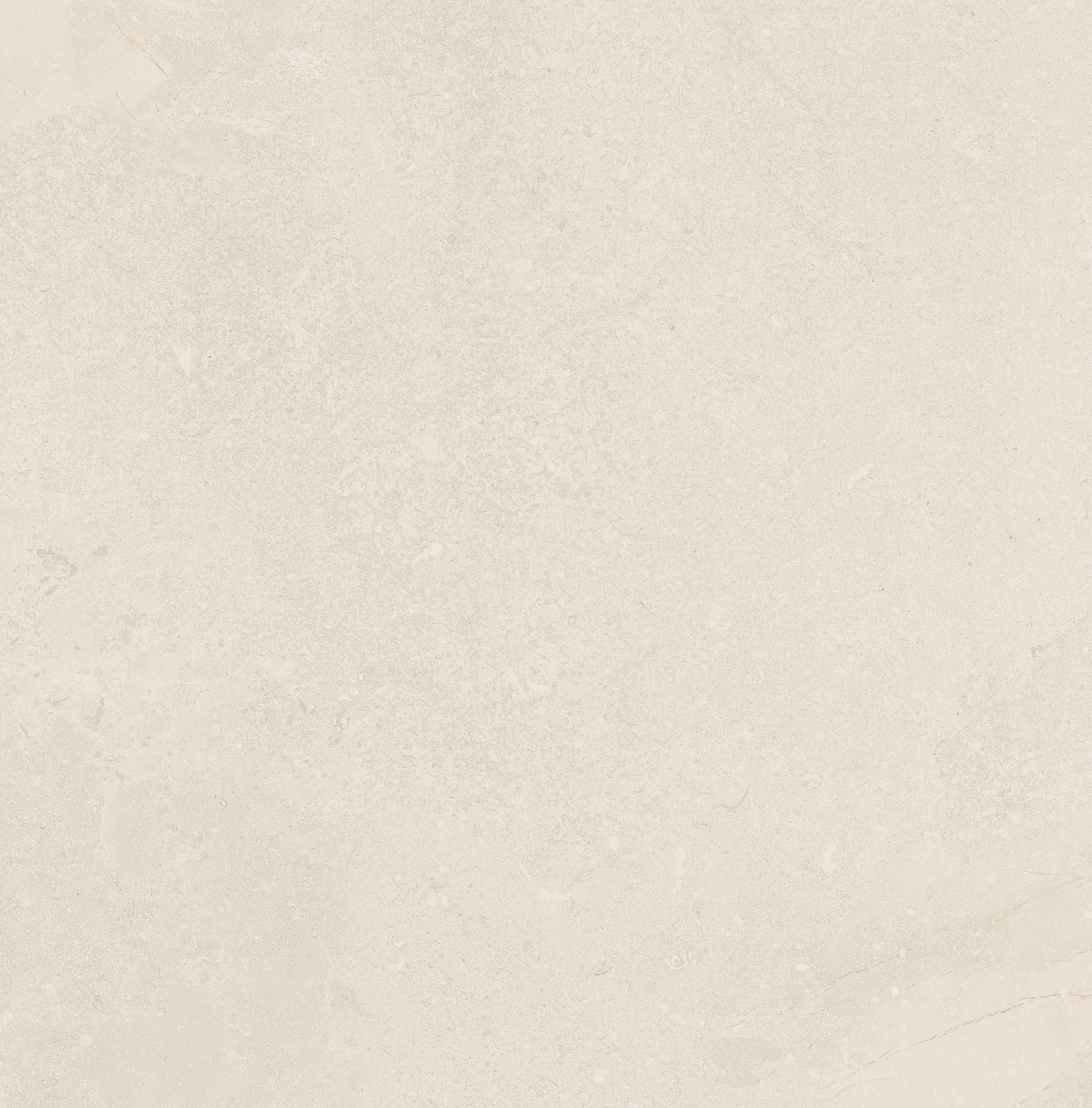 White Limestone 120x120