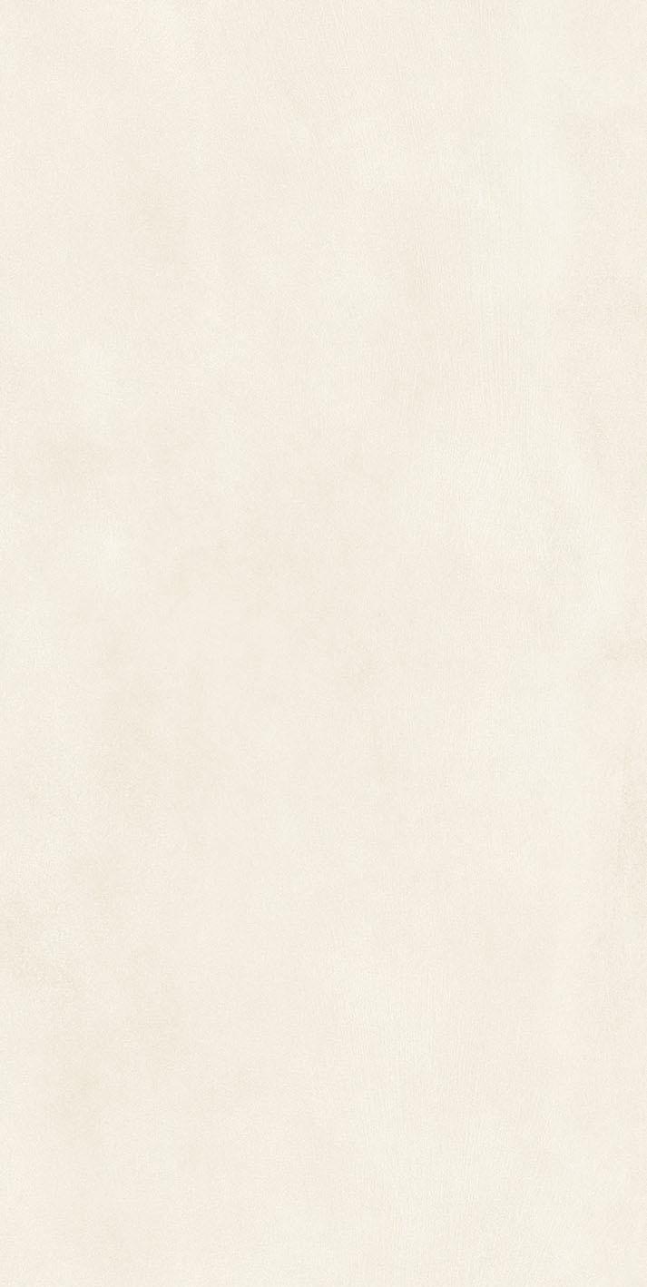 Warm Powder 01 60x120 структурная 9 мм