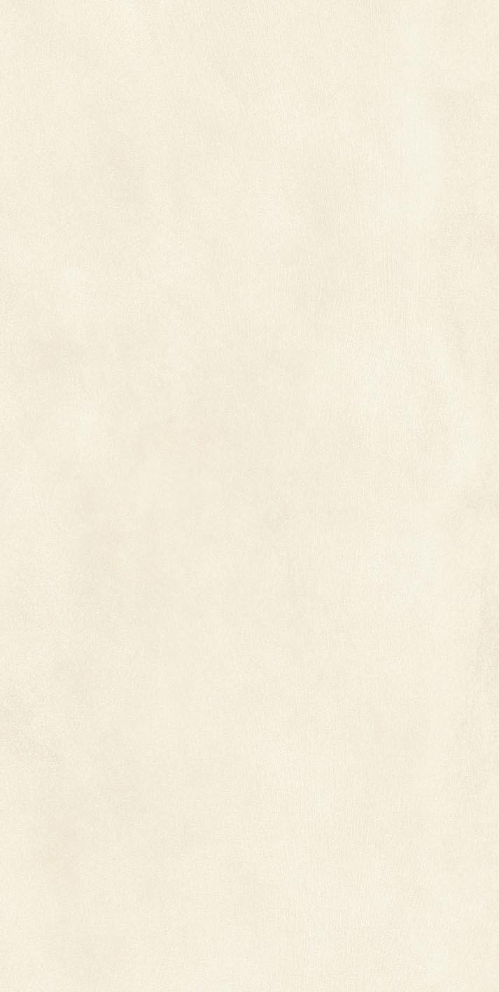 Warm Powder 01 60x120 матовая 6 мм