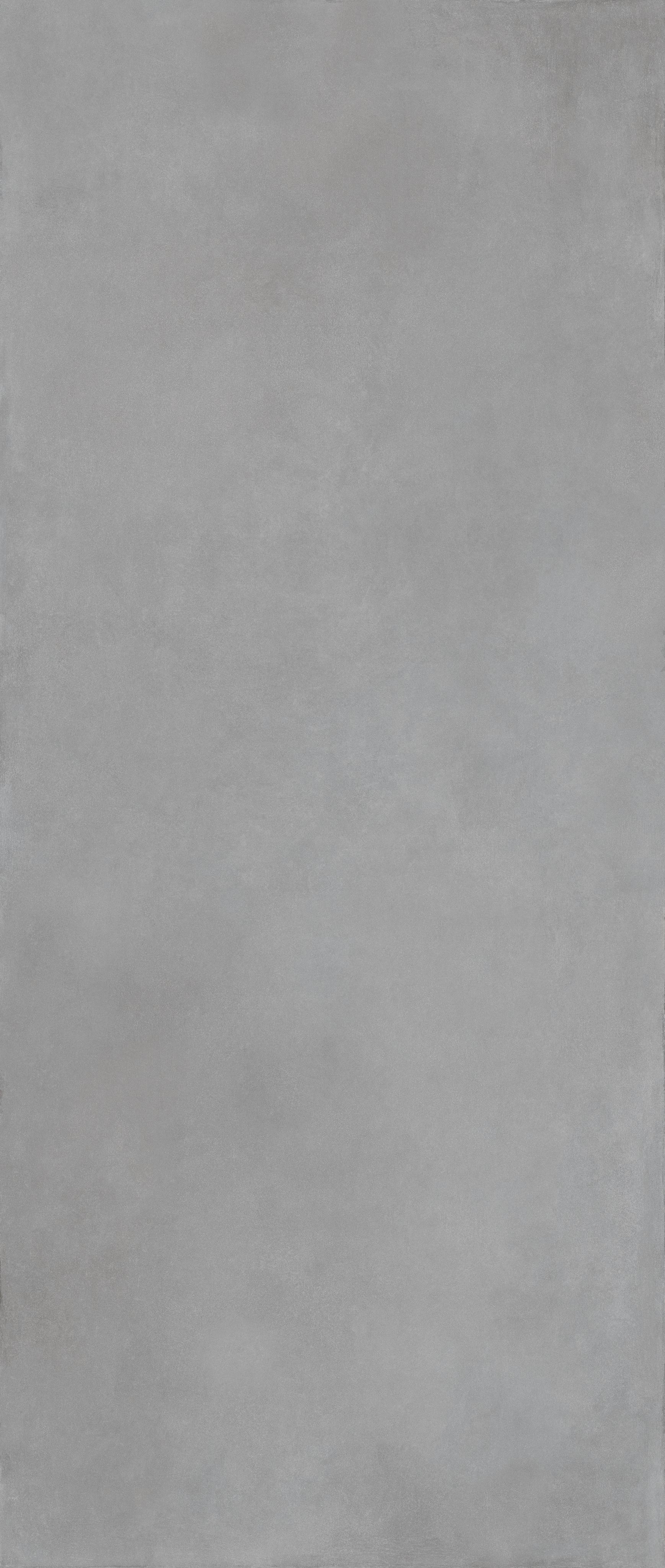Cement Light Gray 120x300