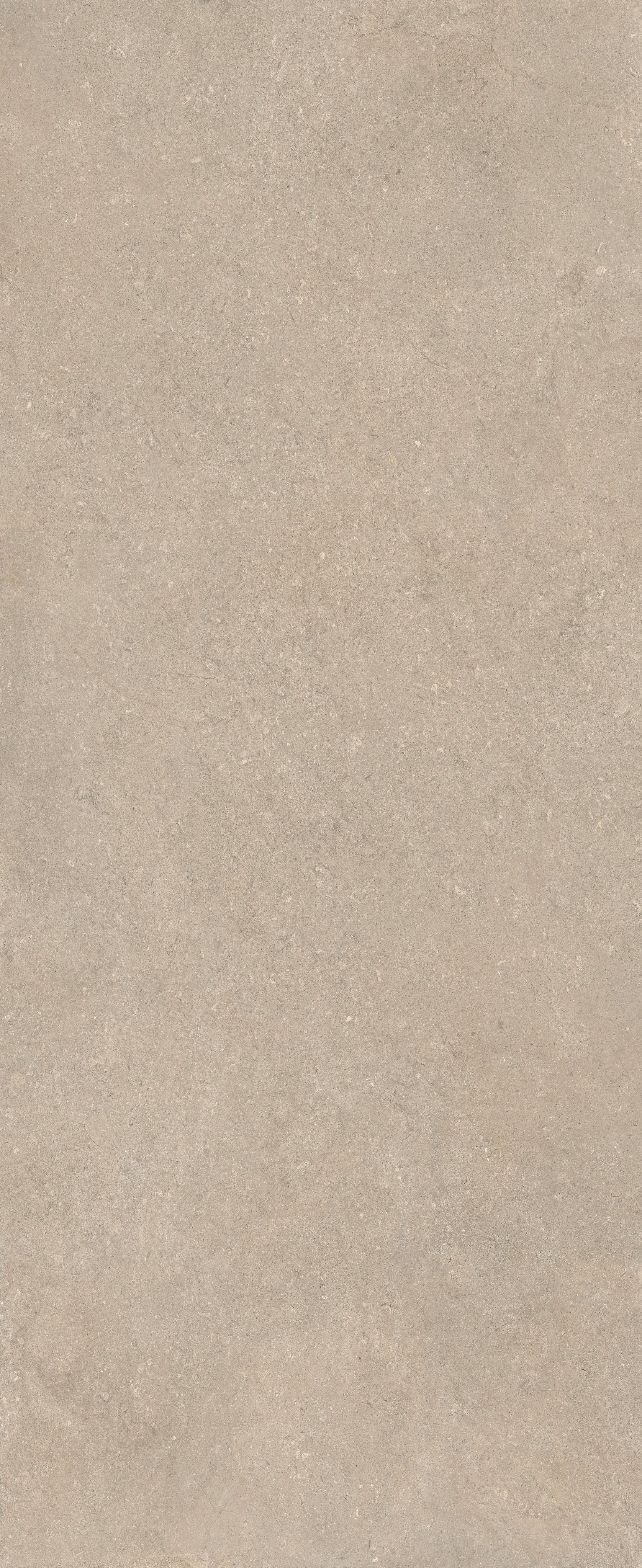 Stone Chablis 120x300