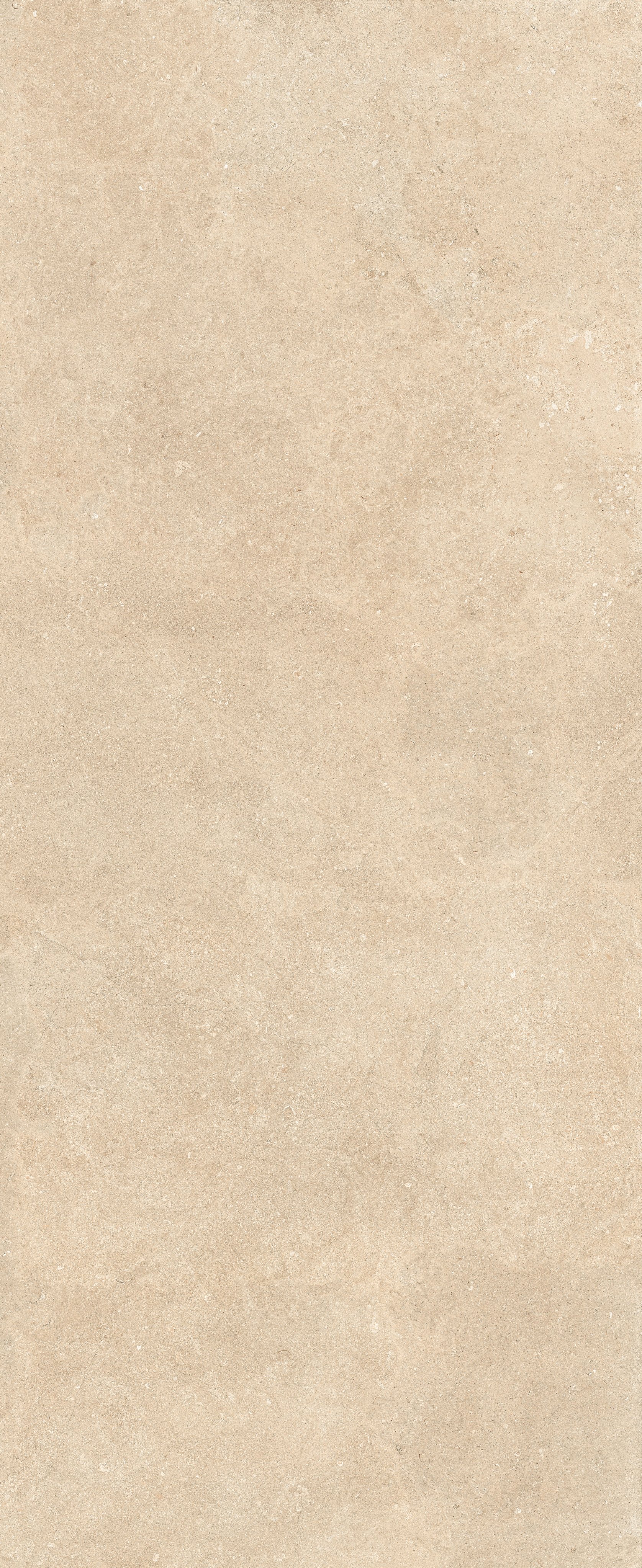 Stone Dordogne 120x300