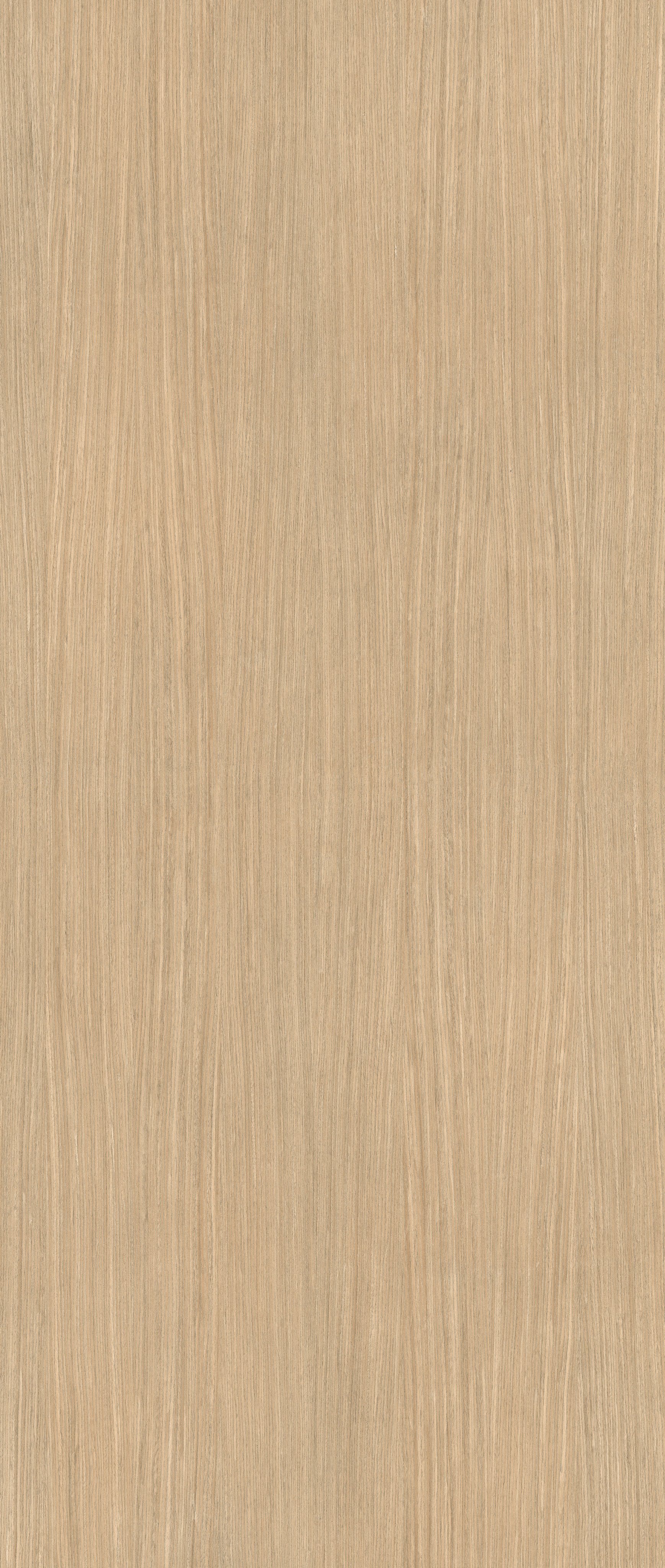 Wood Plank 120x300