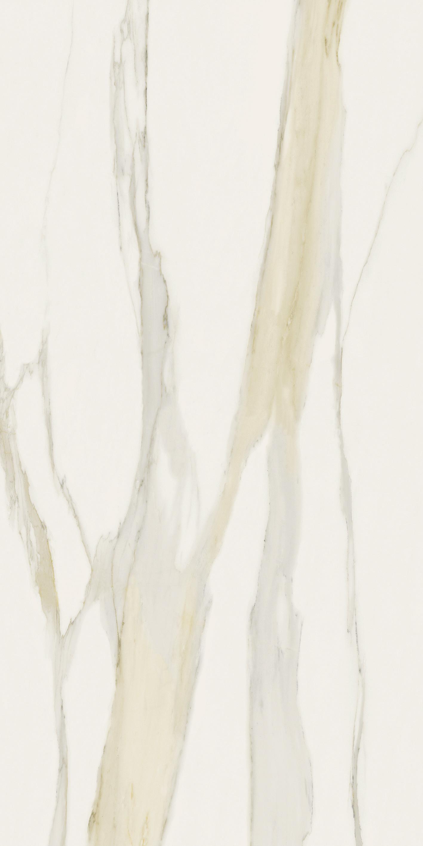 Calacatta Gold 120x240 глянцевая