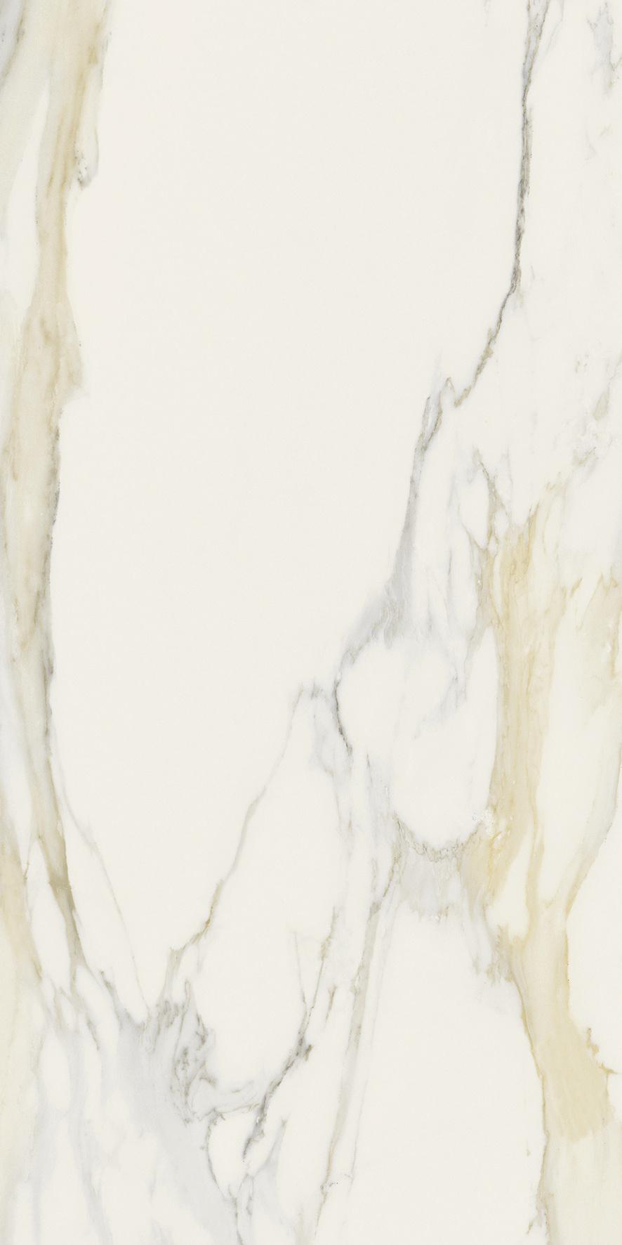 Calacatta Gold 60x120 матовая 6 мм