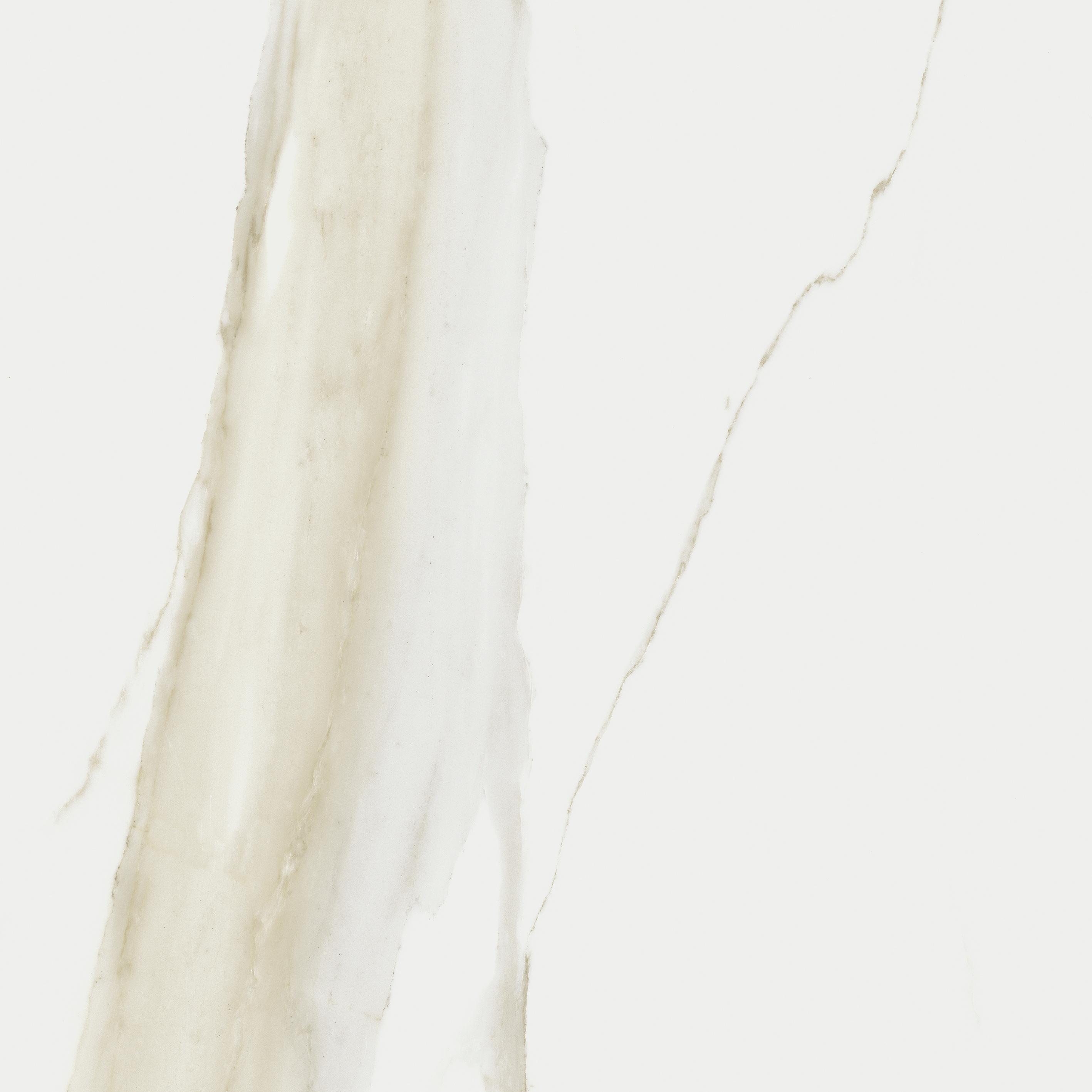 Calacatta Gold 60x60 матовая