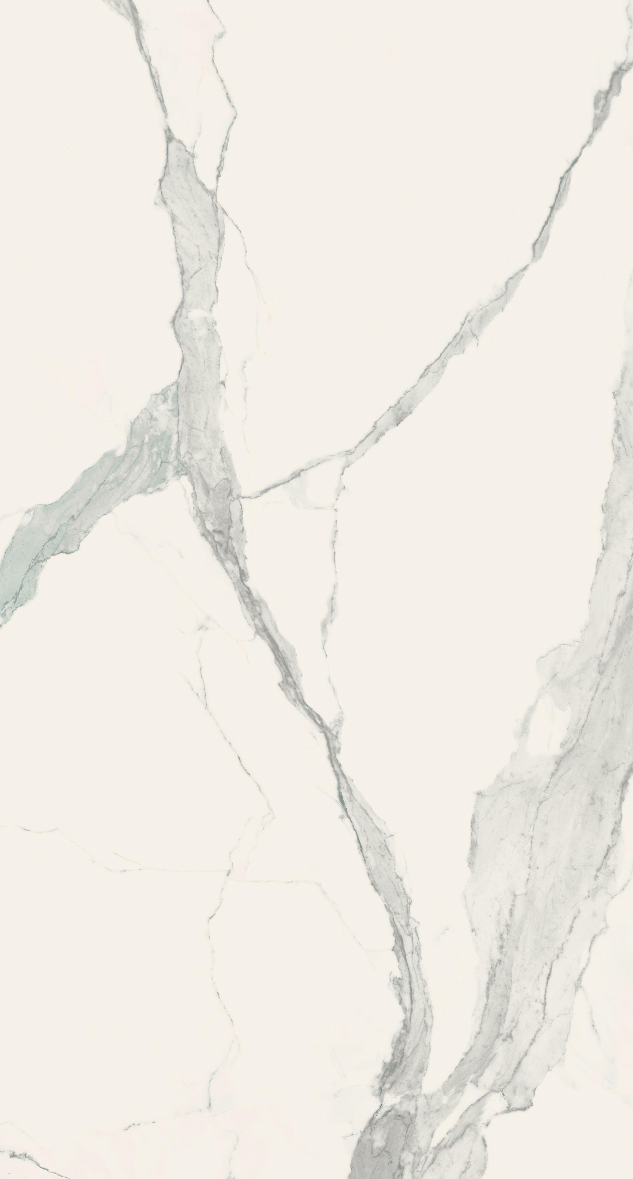 Statuario 120x240 глянцевая