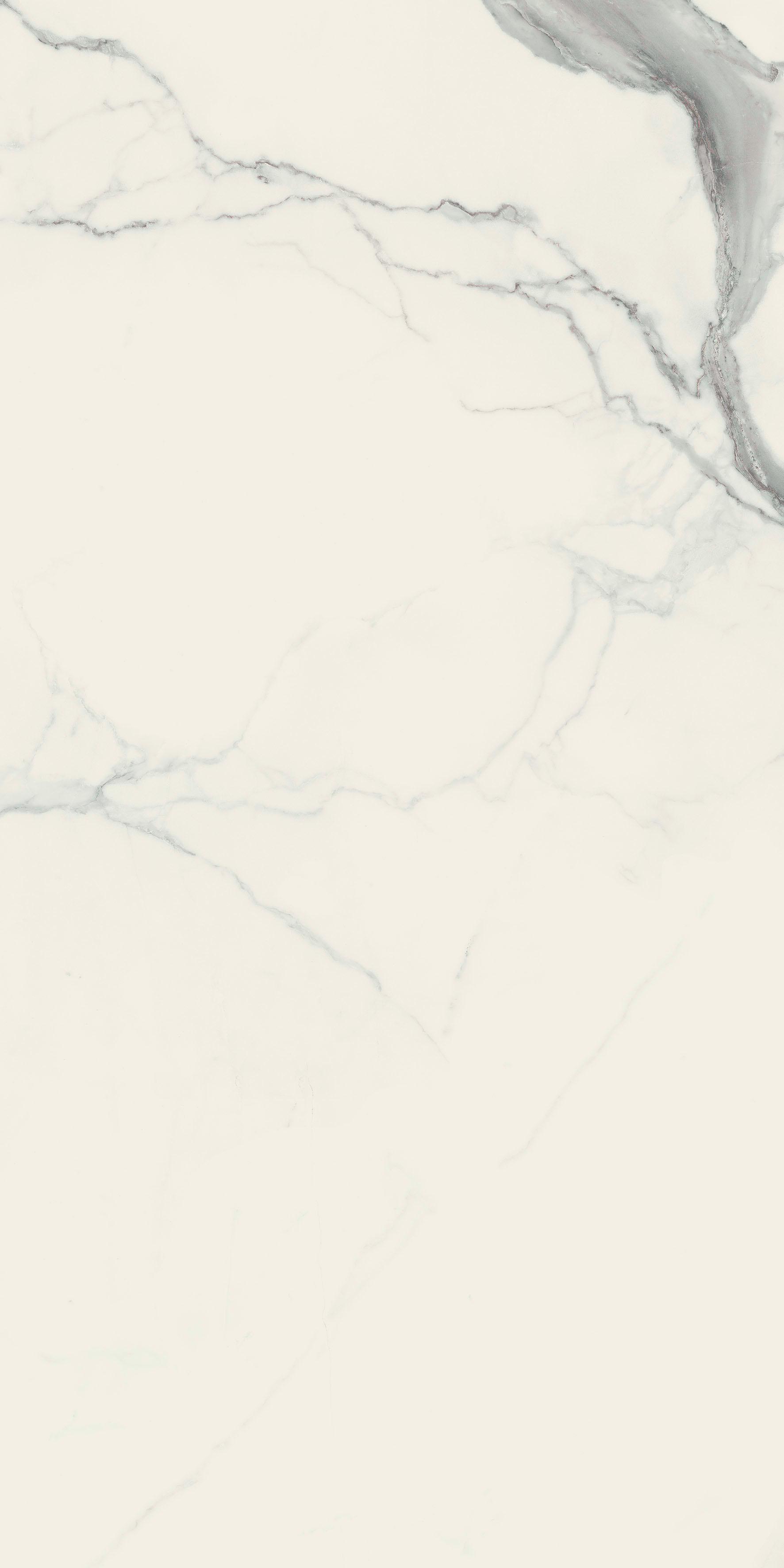 Statuario 60x120 матовая 9 мм