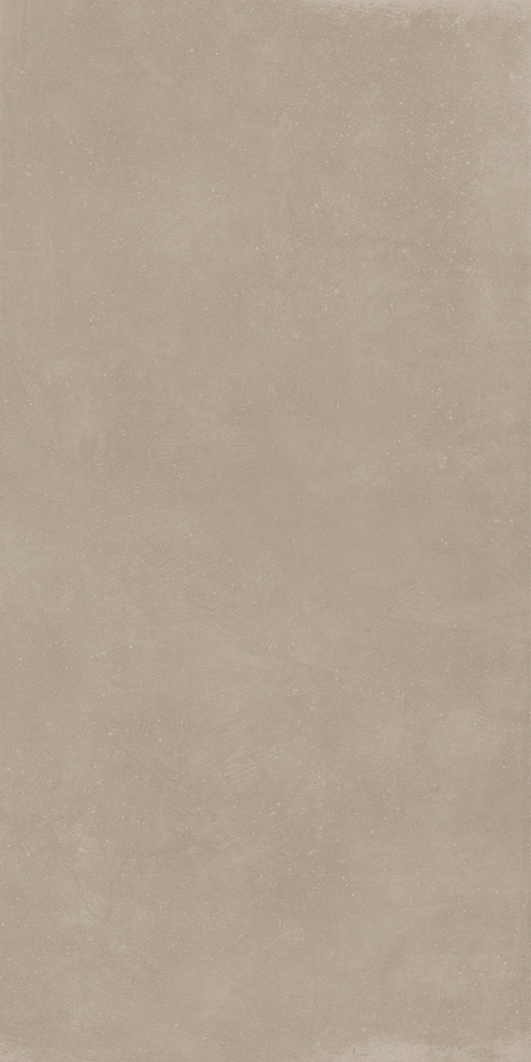 Taupe 60x120 9 мм Naturale