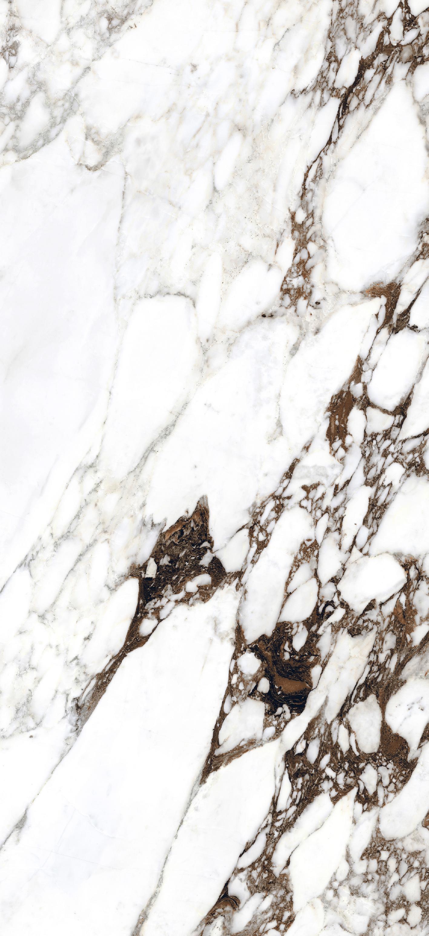 Brèche Capraia 120x280