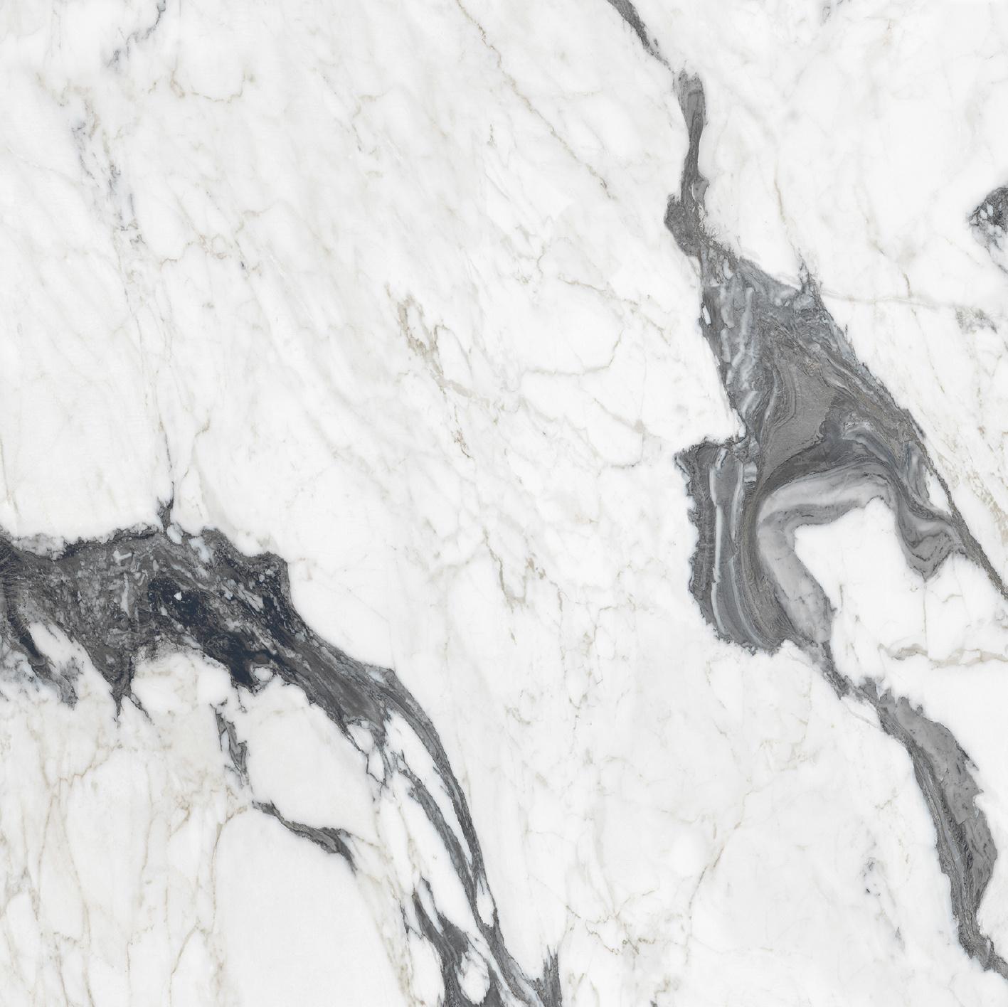 Calacatta Altissimo Blanc 120x120