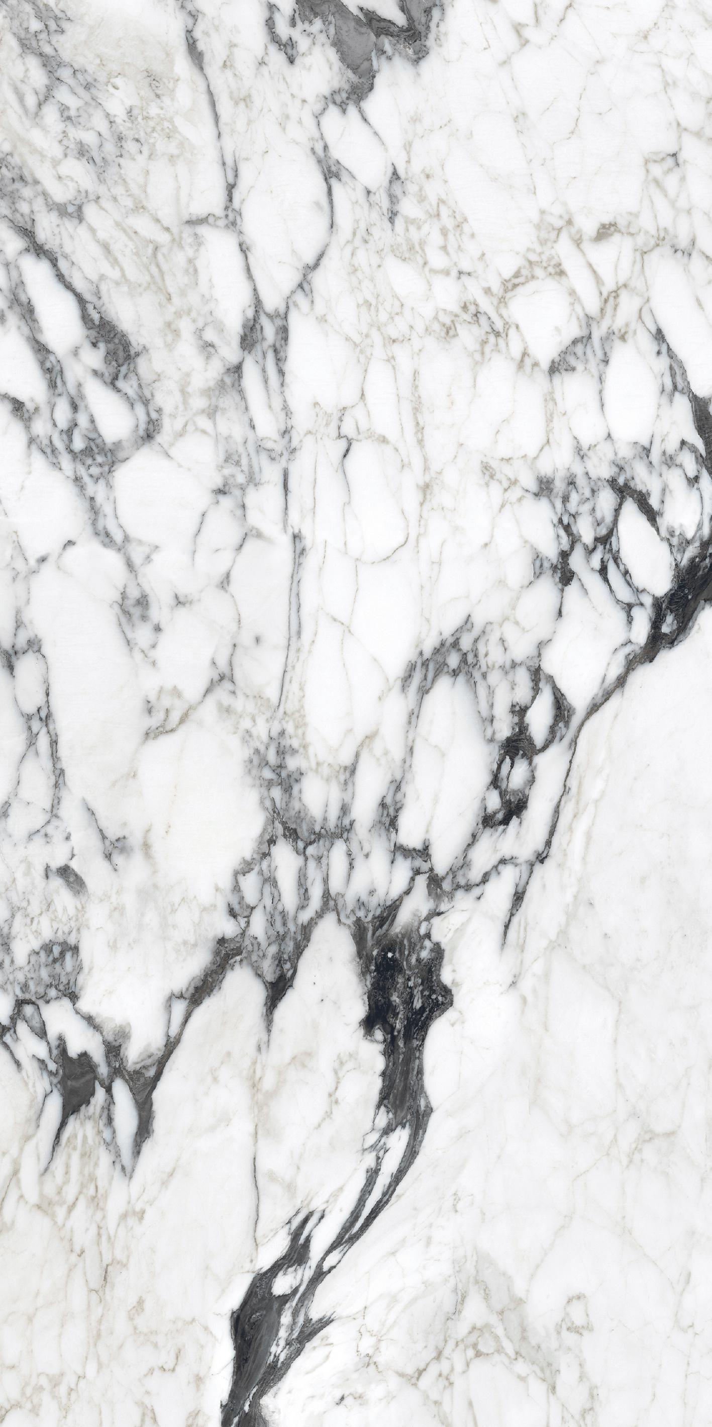 Calacatta Altissimo Blanc 120x240