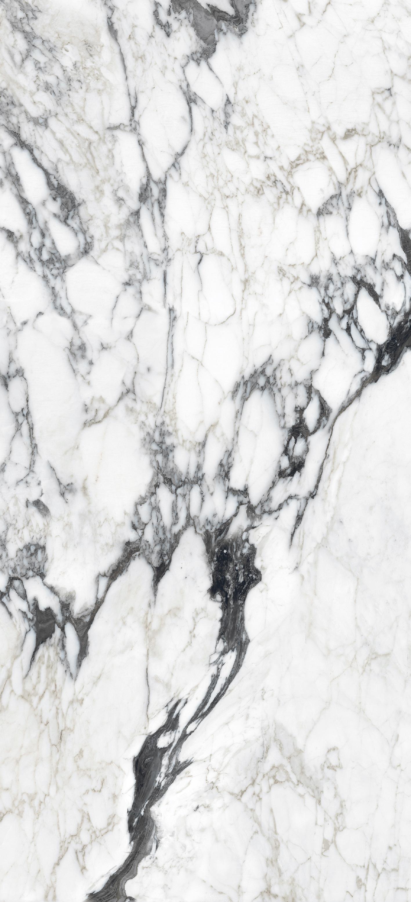 Calacatta Altissimo Blanc 120x280