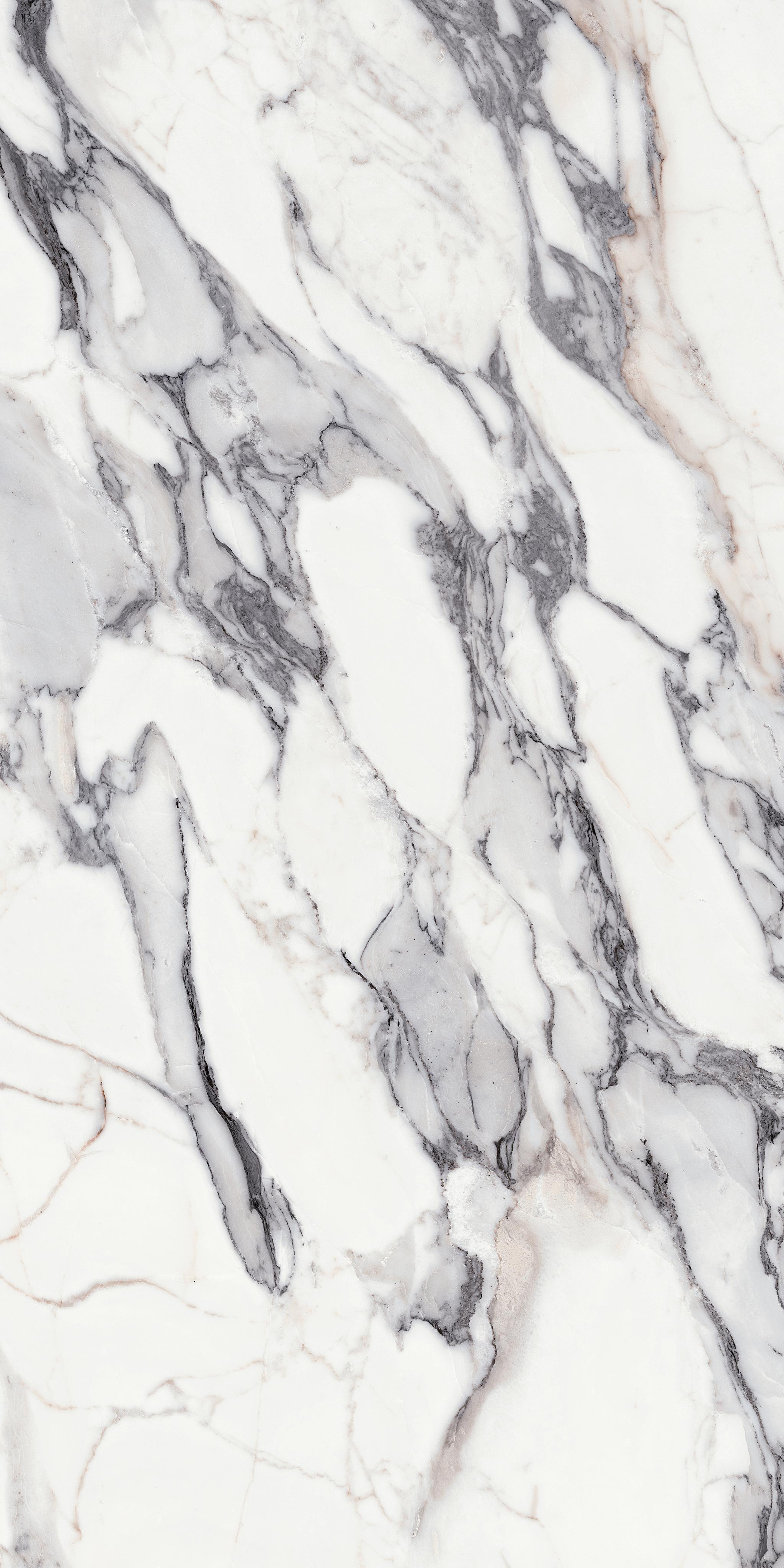 Origines Argent 120x240 матовая