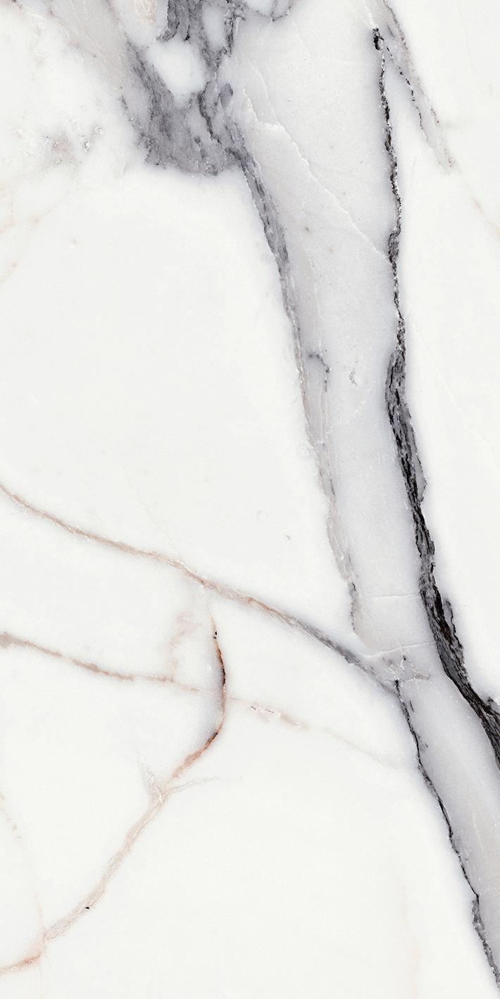 Origines Argent 60x120 глянцевая 6 мм